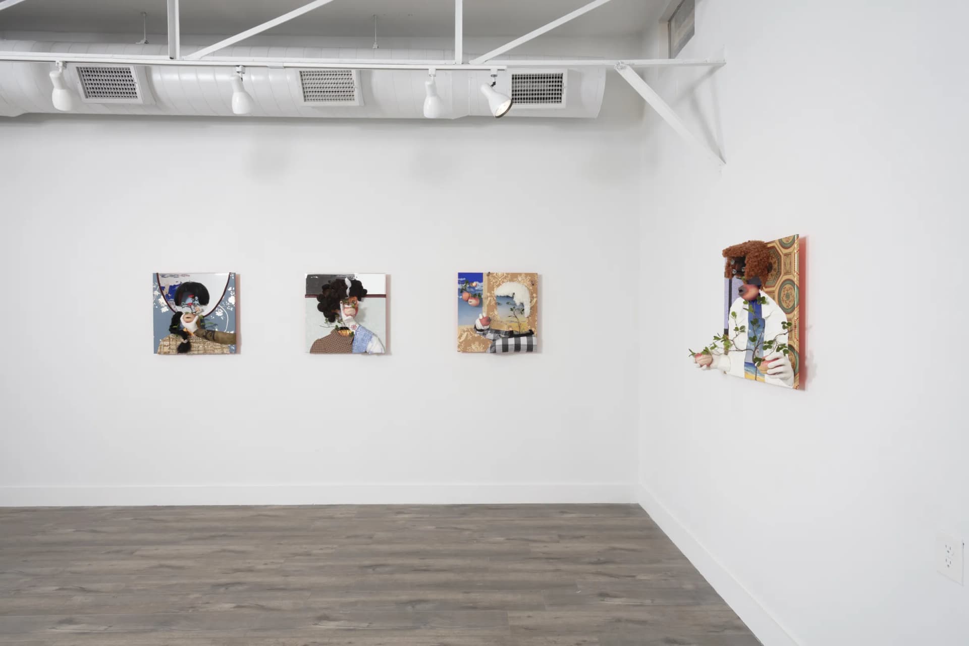Installation View: Miguel Angel Payano Jr: Elusive NaturePhoto By Josh Schaedel