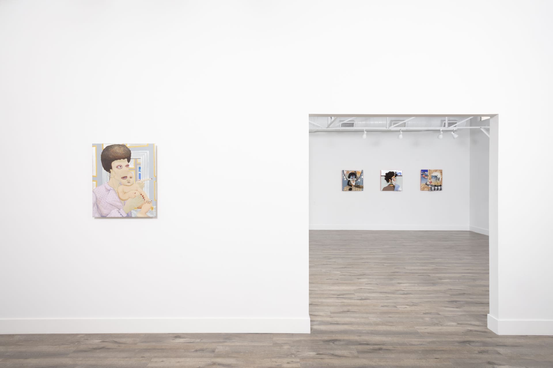 Installation View: Miguel Angel Payano Jr: Elusive NaturePhoto By Josh Schaedel