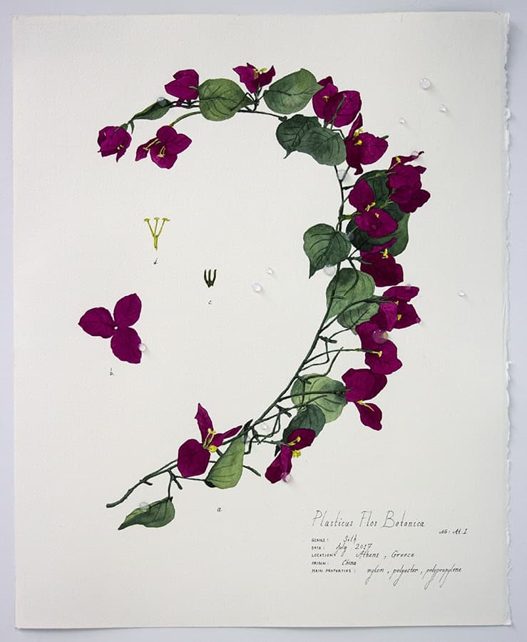 Magdalen Wong, Magdalen Wong, Plasticus Flos Botanica