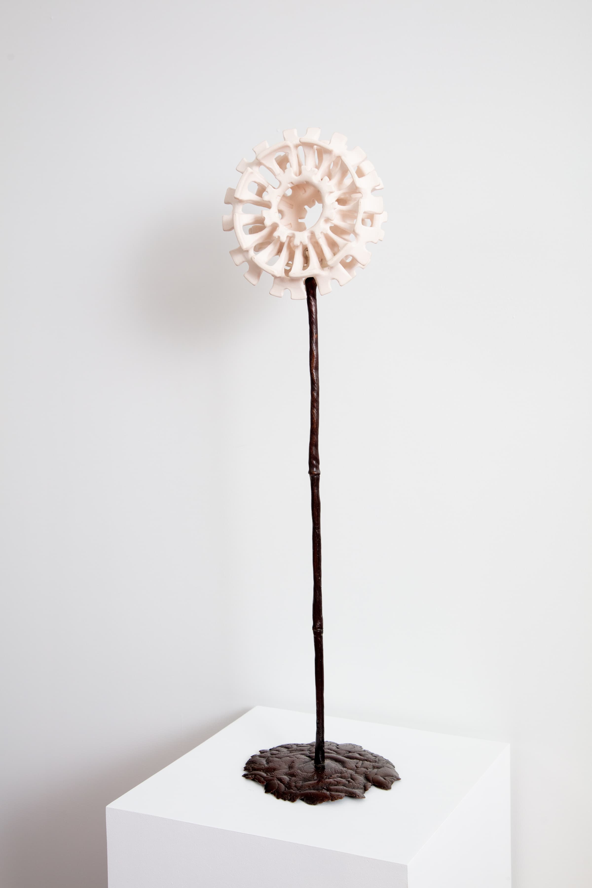 Yassi Mazandi, Flower 4