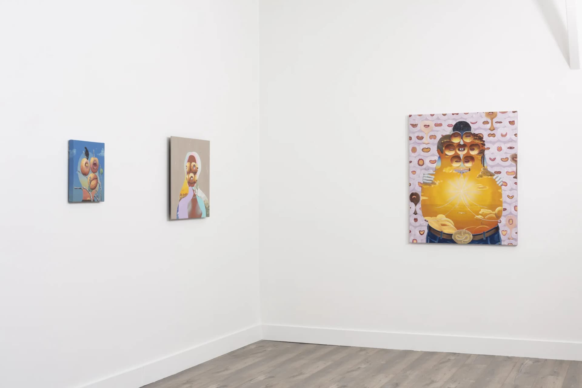Installation View: Miguel Angel Payano Jr: Elusive NaturePhoto By Josh Schaedel