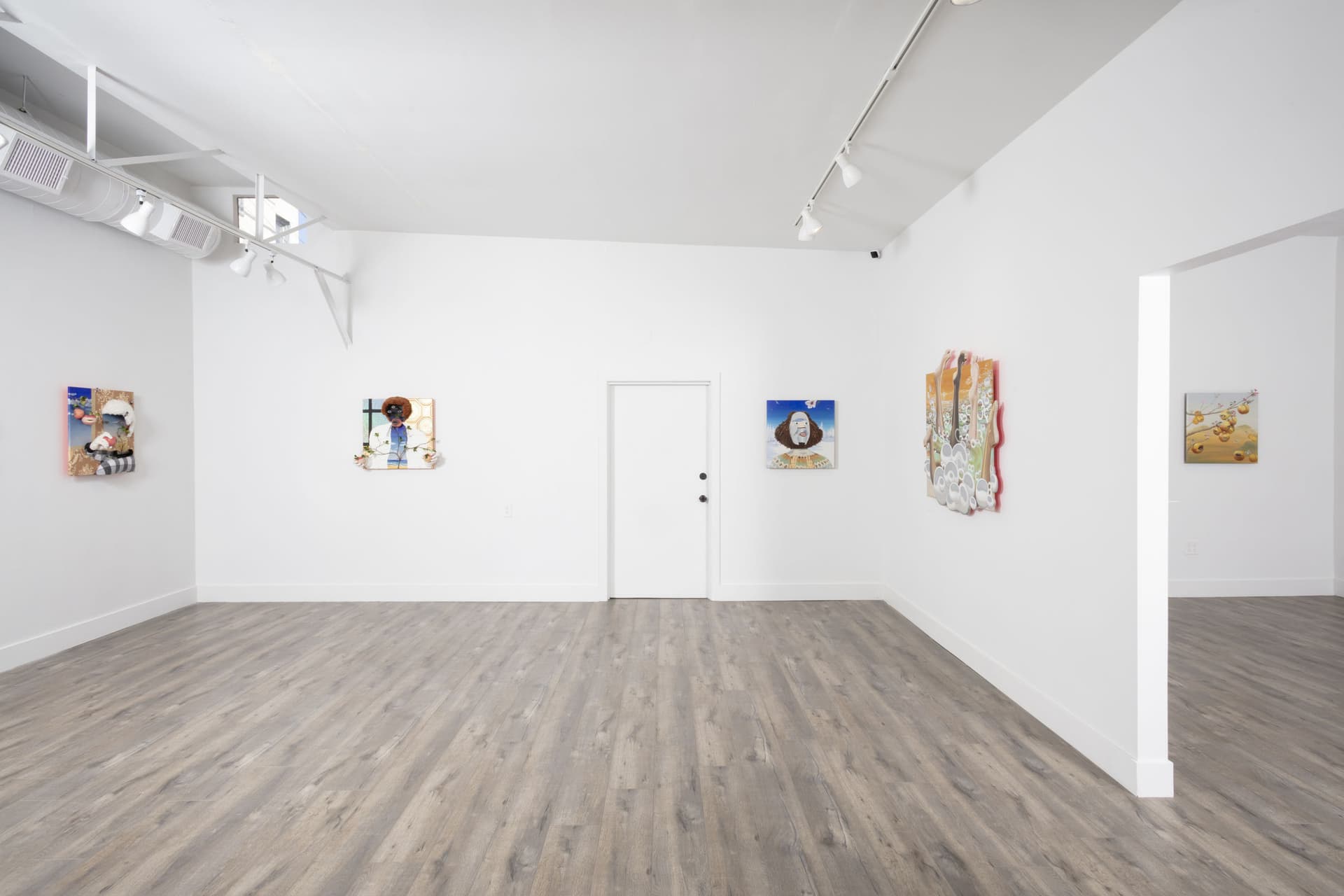Installation View: Miguel Angel Payano Jr: Elusive NaturePhoto By Josh Schaedel
