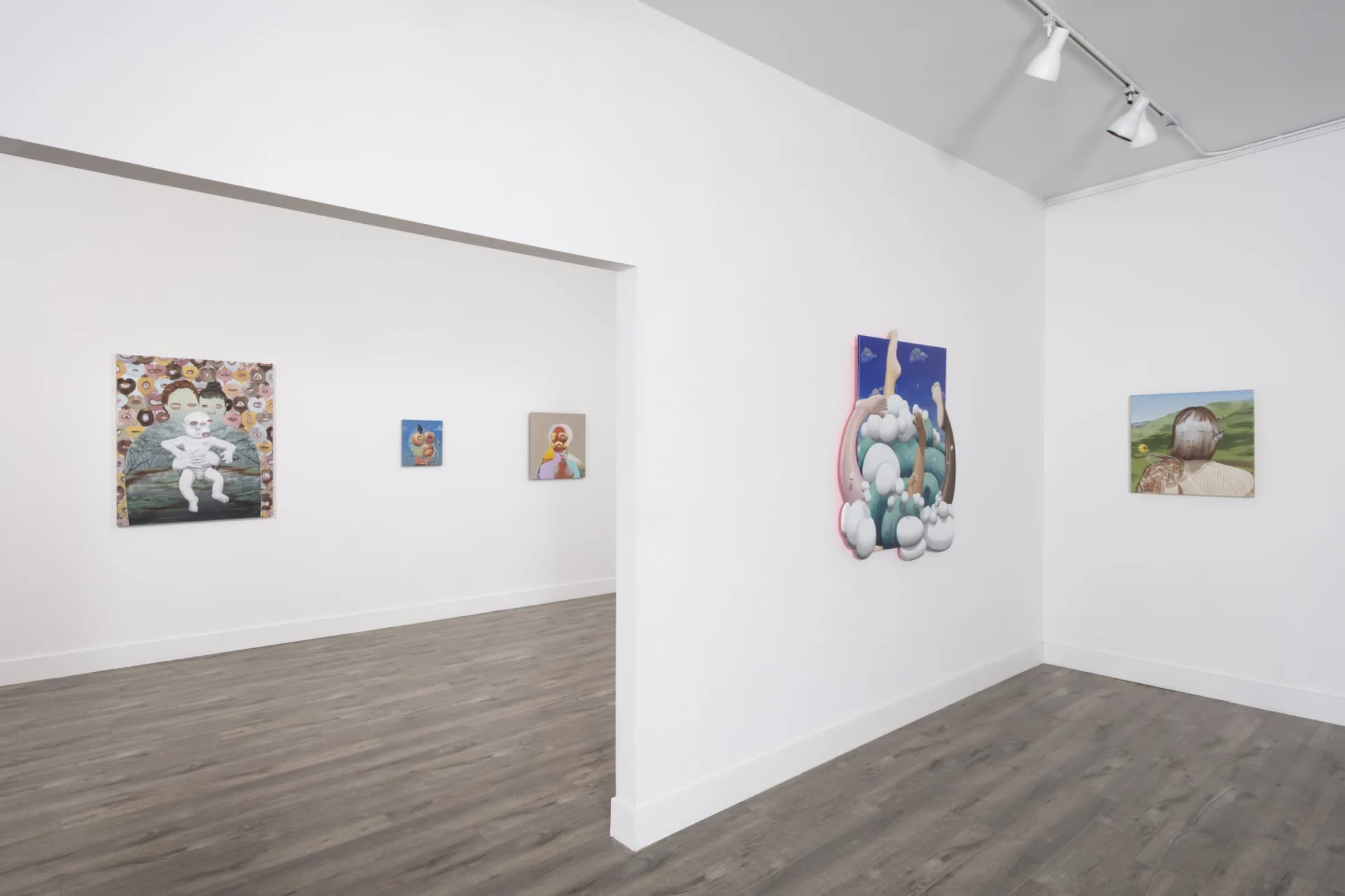 Installation View: Miguel Angel Payano Jr: Elusive NaturePhoto By Josh Schaedel