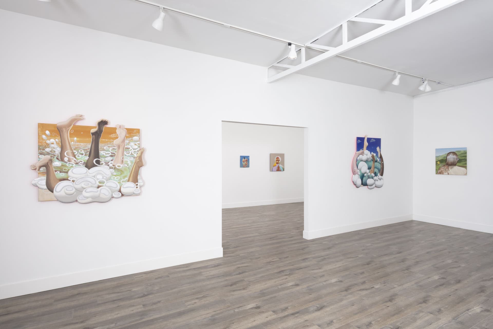 Installation View: Miguel Angel Payano Jr: Elusive NaturePhoto By Josh Schaedel