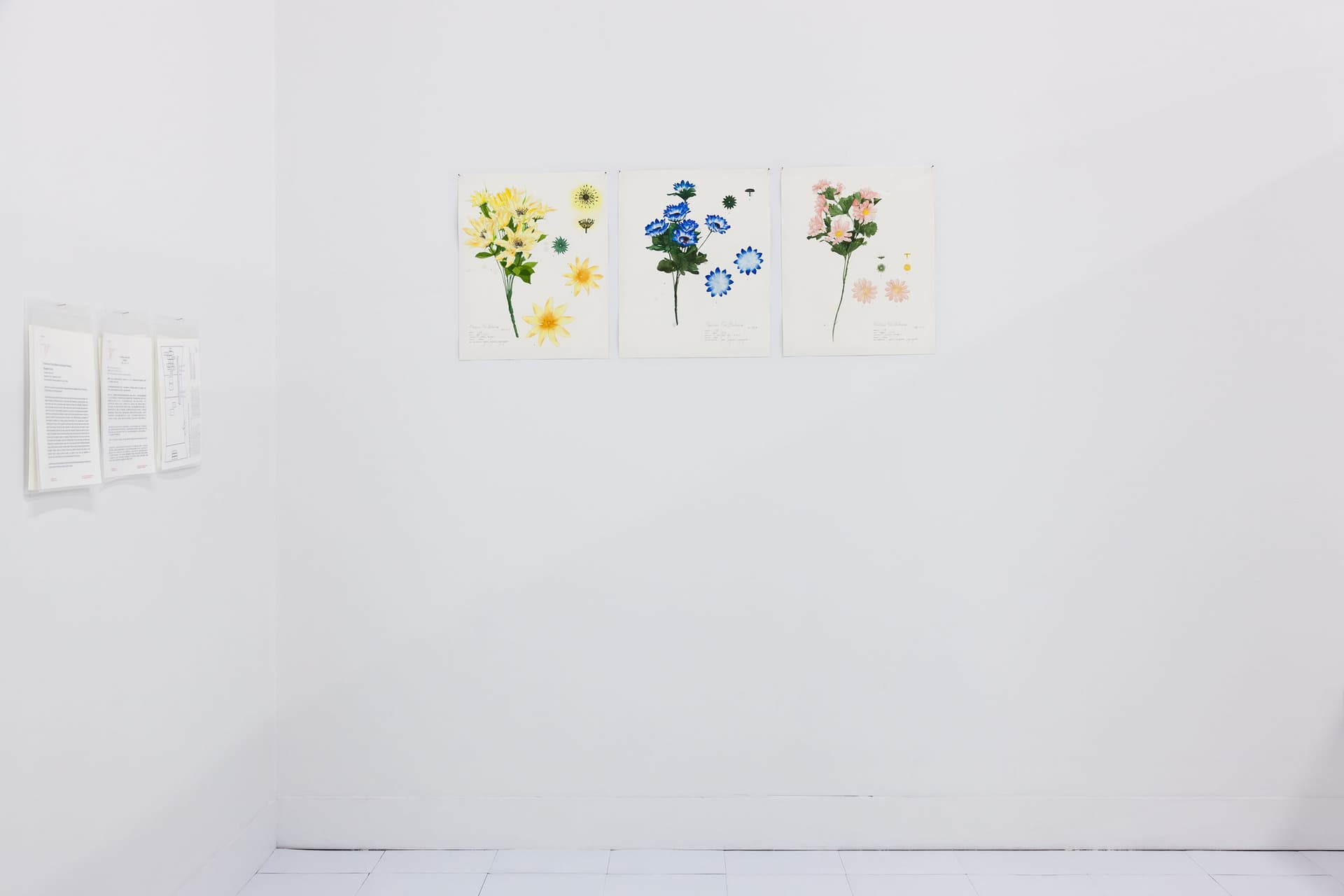 Installation View, Dreaming of Dying Robots and Artificial Flowers.