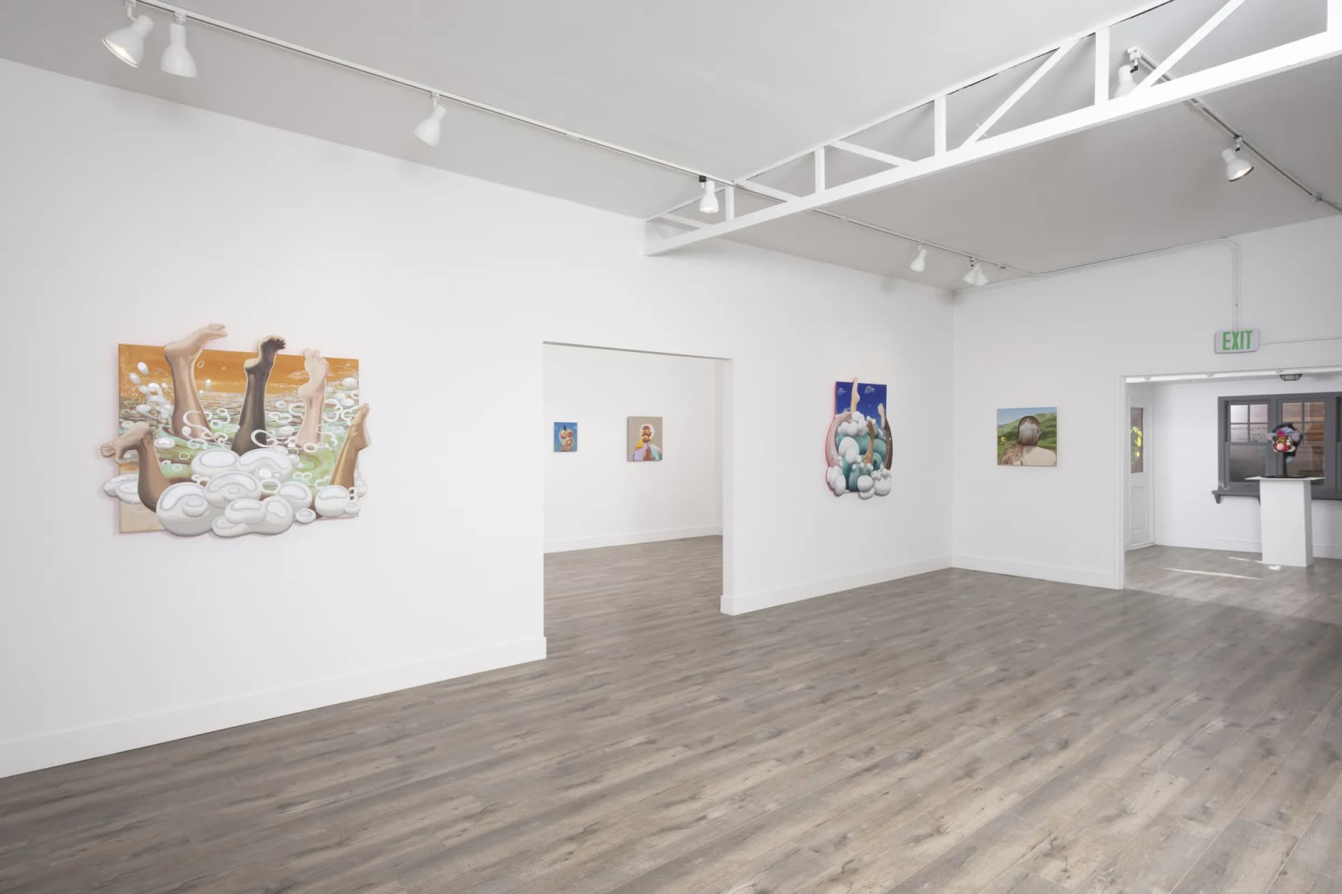 Installation View: Miguel Angel Payano Jr: Elusive NaturePhoto By Josh Schaedel