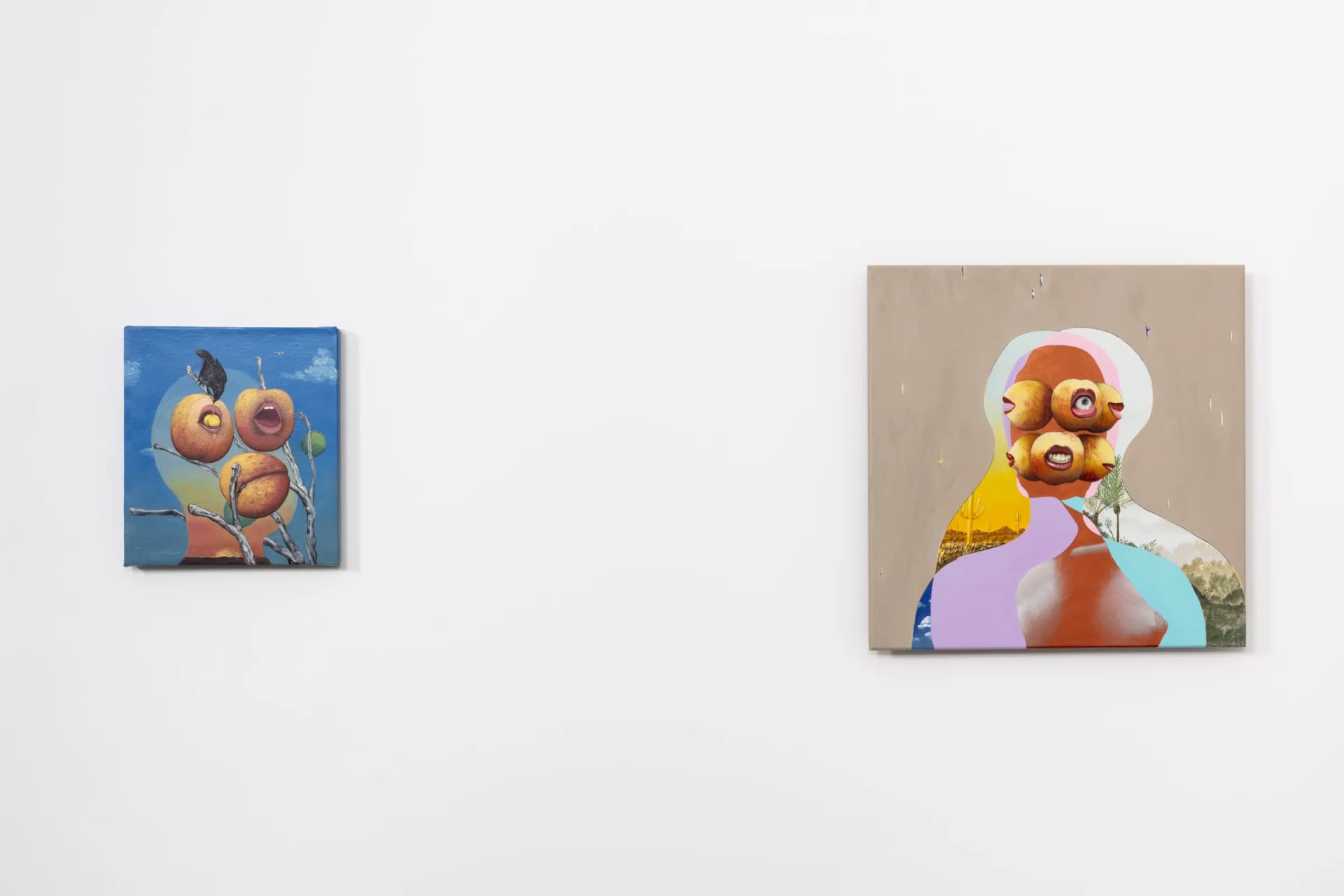 Installation View: Miguel Angel Payano Jr: Elusive NaturePhoto By Josh Schaedel