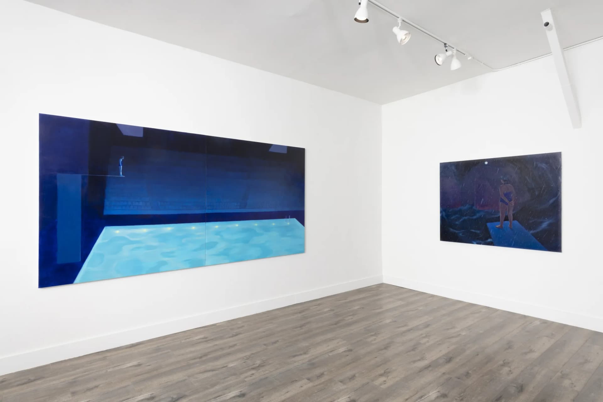 Installation View: Yuri Yuan: "The Great Swimmer"Photo By Josh Schaedel