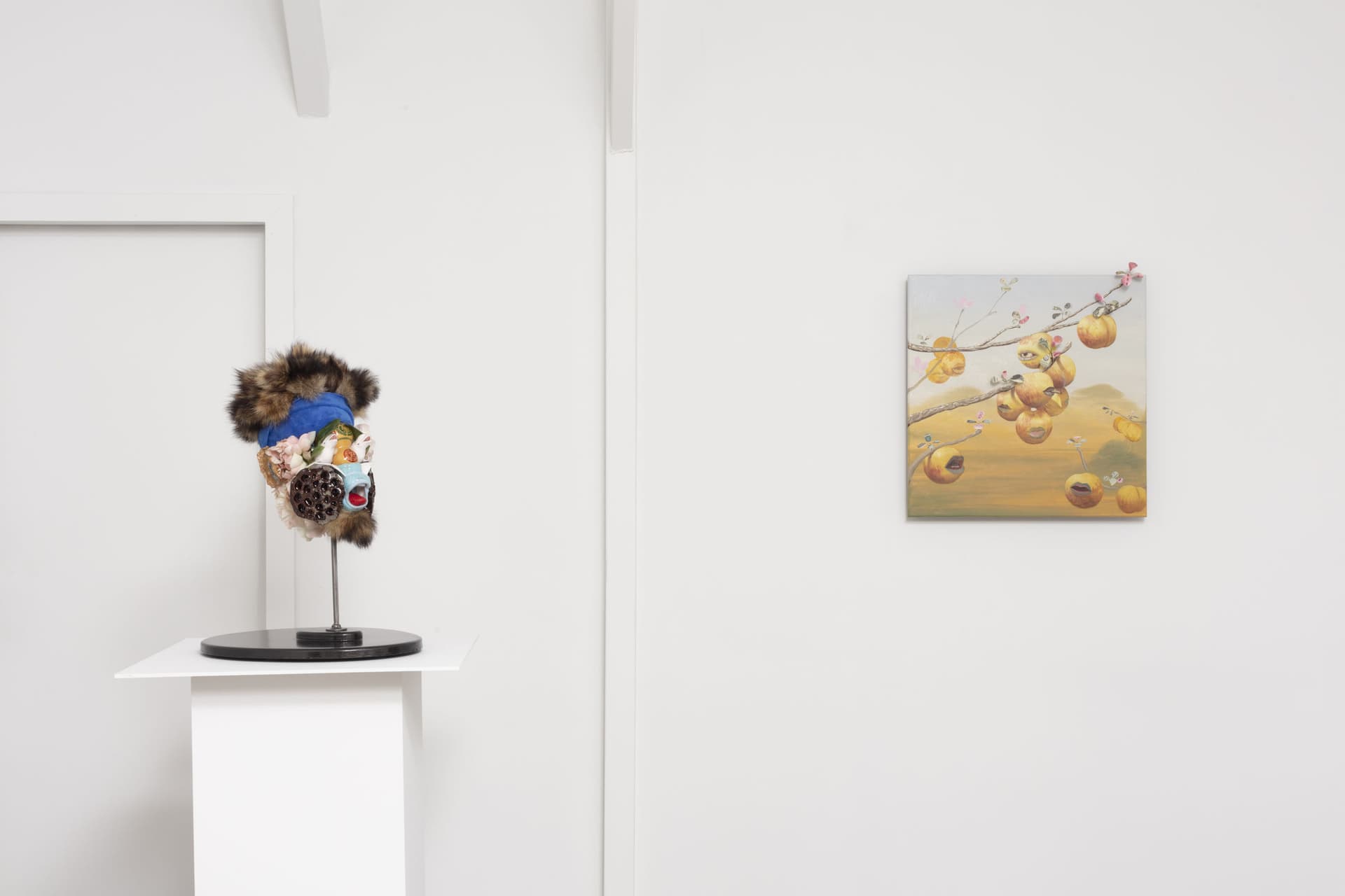 Installation View: Miguel Angel Payano Jr: Elusive NaturePhoto By Josh Schaedel