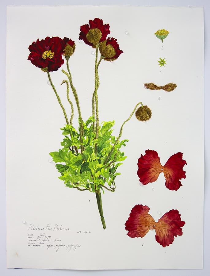 Magdalen Wong, Magdalen Wong, Plasticus Flos Botanica
