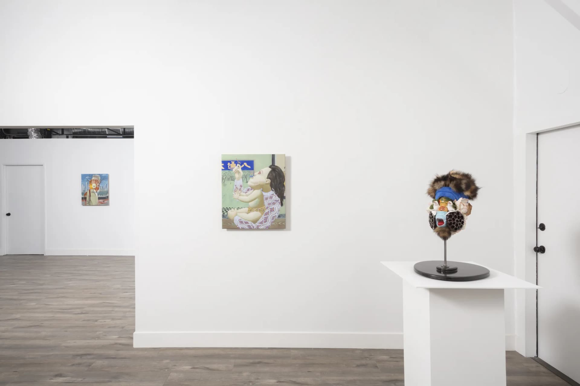 Installation View: Miguel Angel Payano Jr: Elusive NaturePhoto By Josh Schaedel