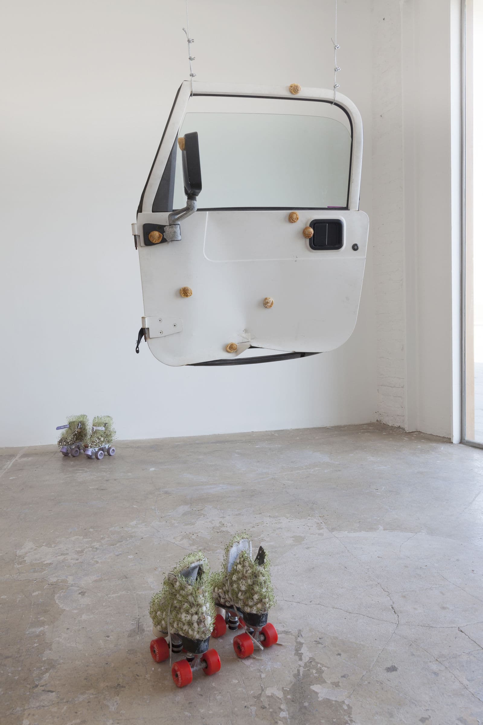 DEATH DRIVE JOY RIDE — view 3