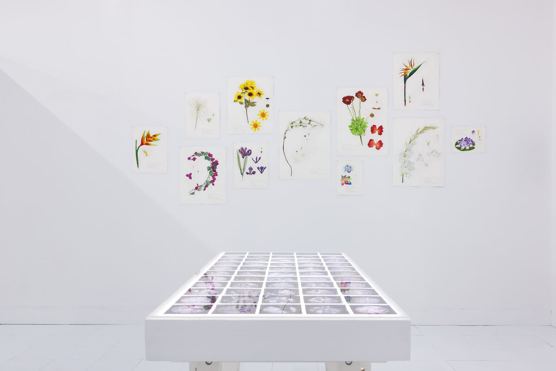 Installation View, Dreaming of Dying Robots and Artificial Flowers.