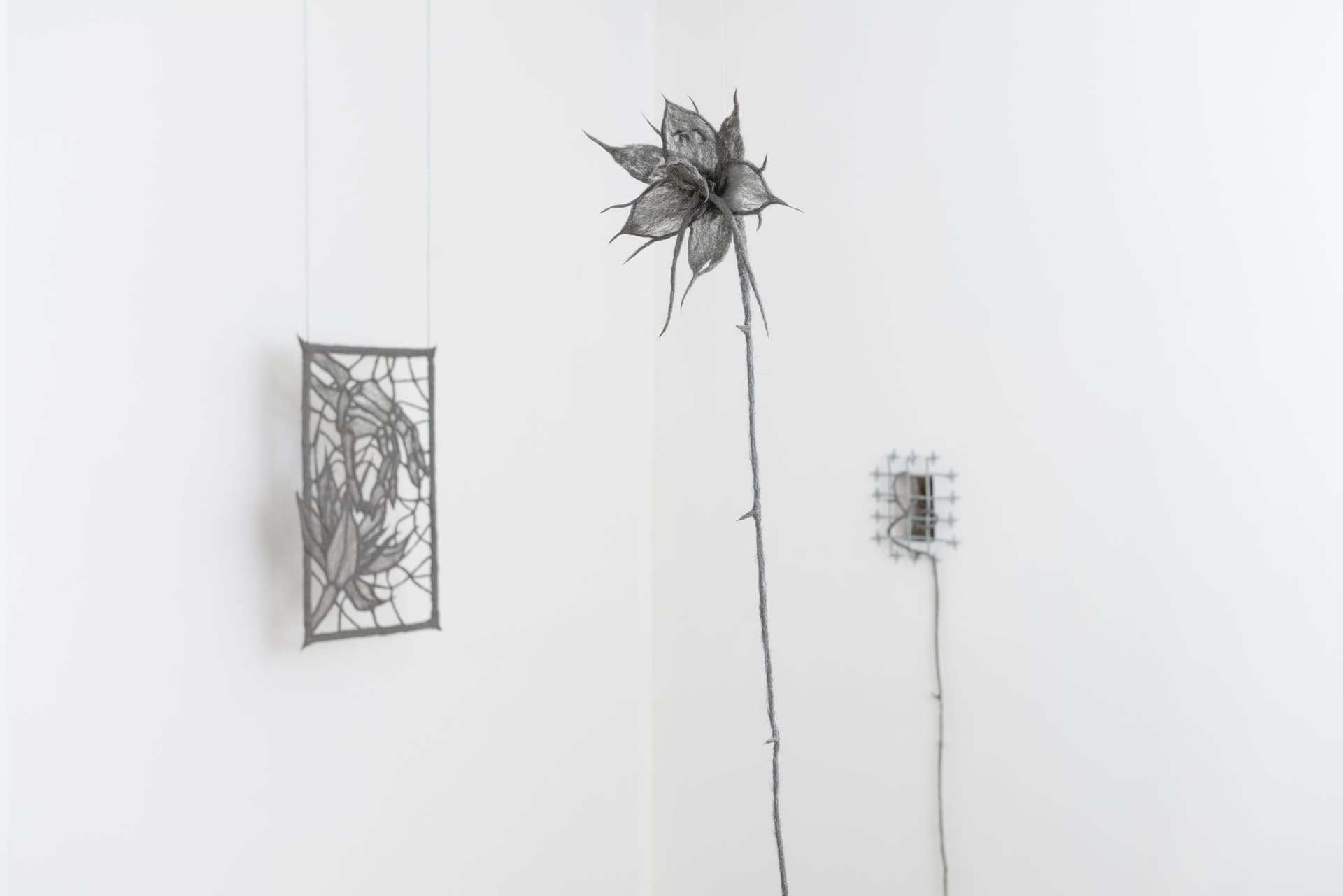 Installation view, Blossoming Carcass. Photo:Yubo Dong
