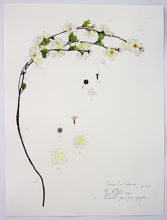 Magdalen Wong, Magdalen Wong, Plasticus Flos Botanica