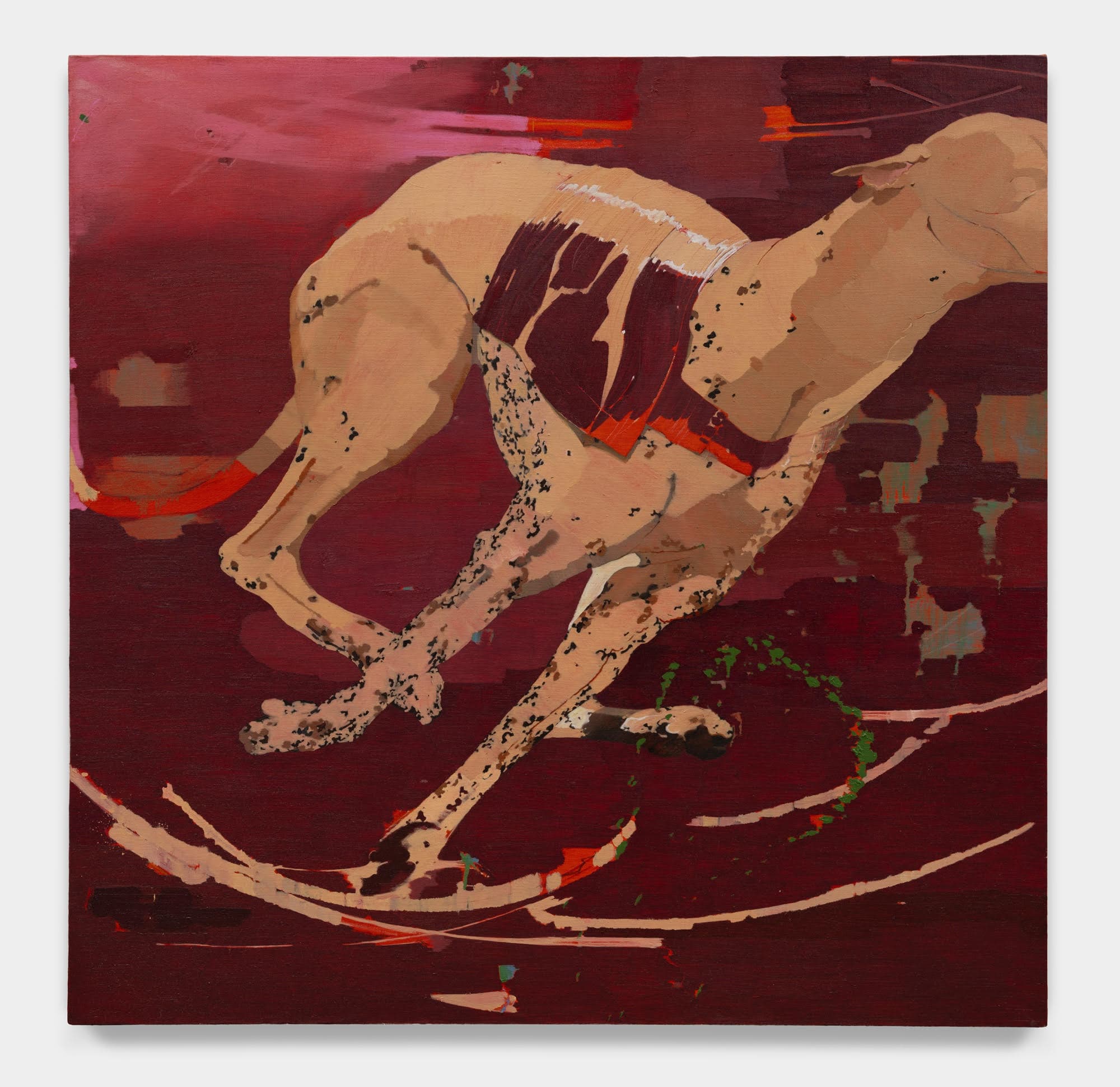 Blind Dog, 2022Oil on Linen50 x 50 in.127 x 127 cm, Blind Dog,