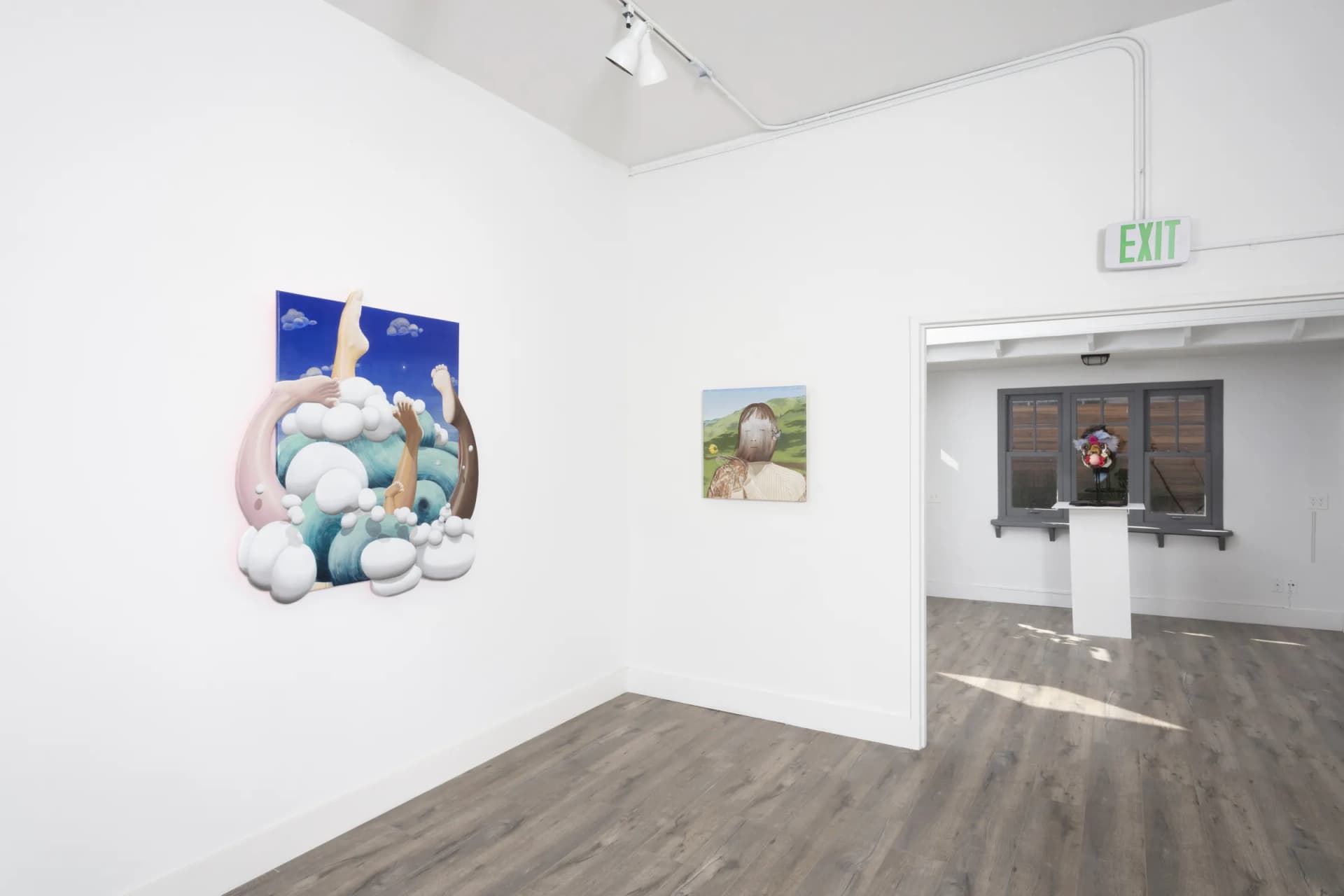 Installation View: Miguel Angel Payano Jr: Elusive NaturePhoto By Josh Schaedel