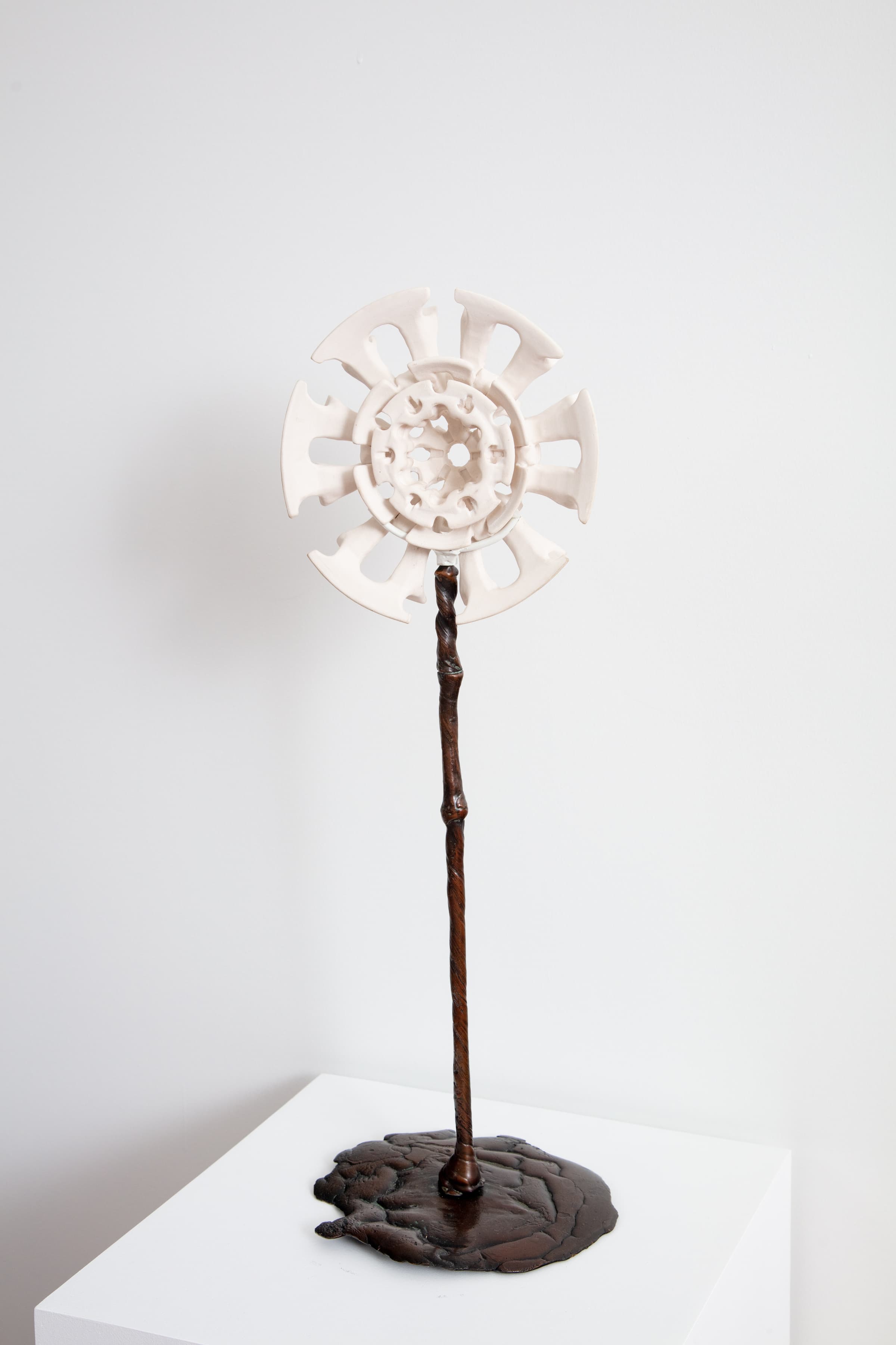 Yassi Mazandi, Flower 5