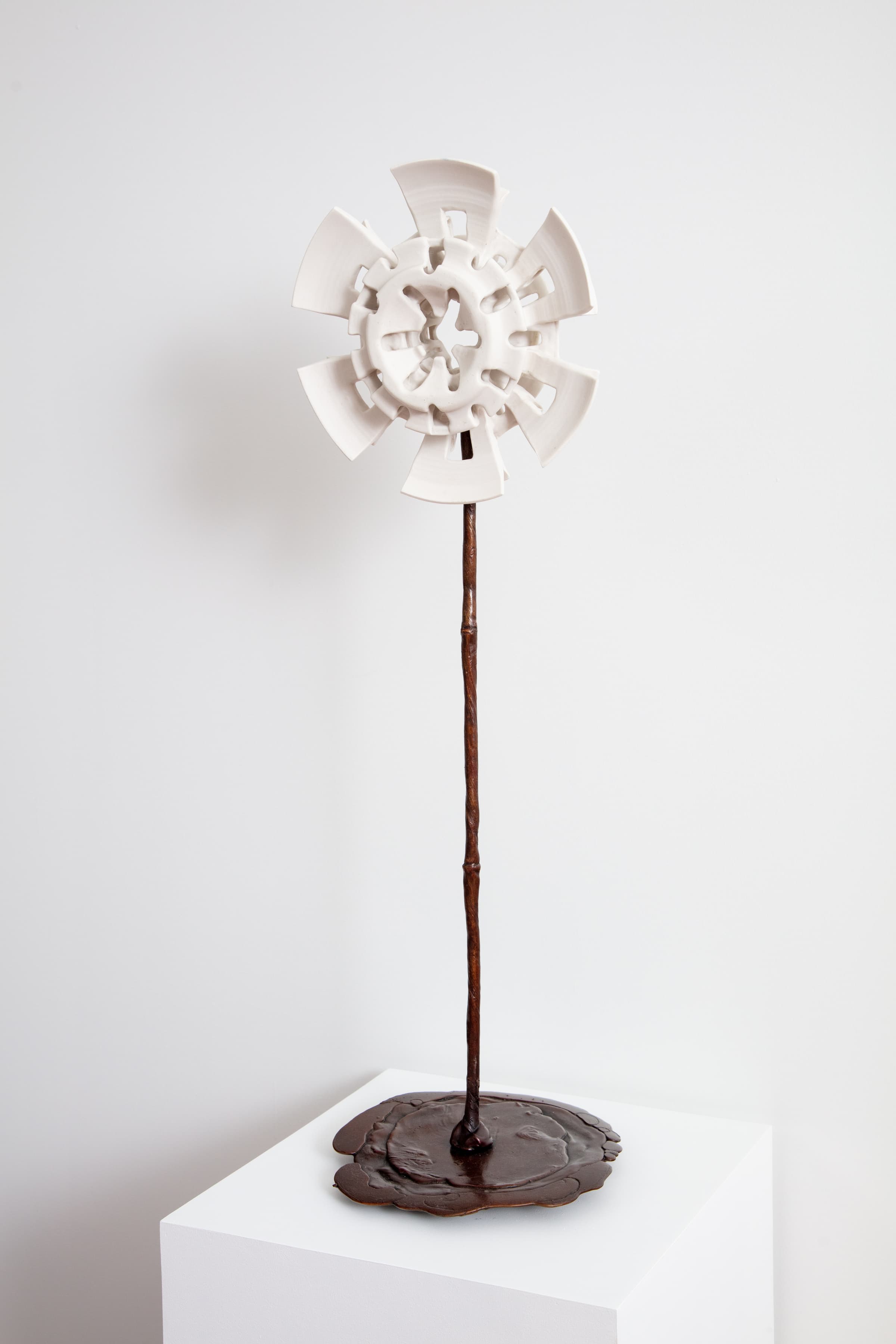 Yassi Mazandi, Flower 1