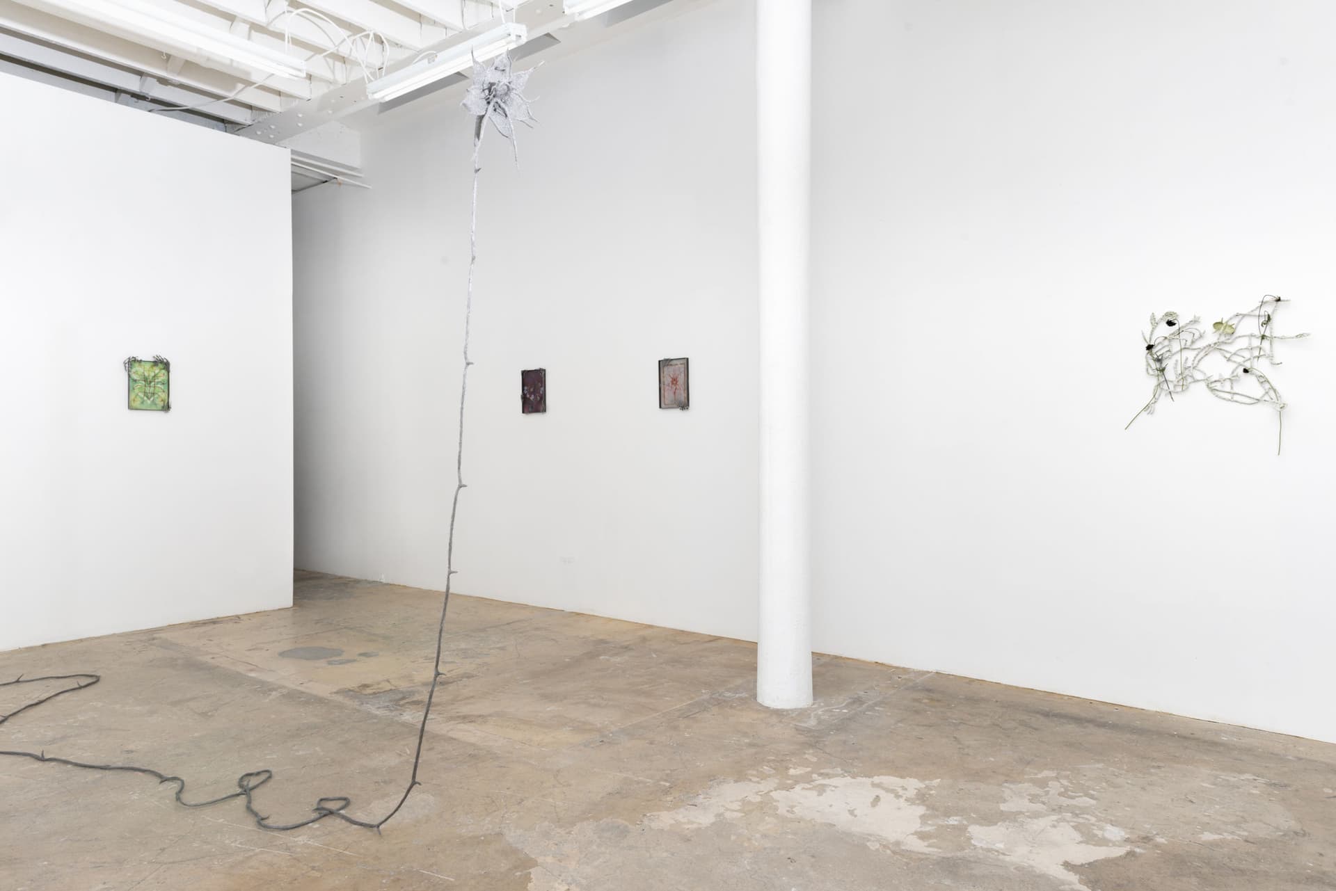 Installation view, Blossoming Carcass. Photo:Yubo Dong