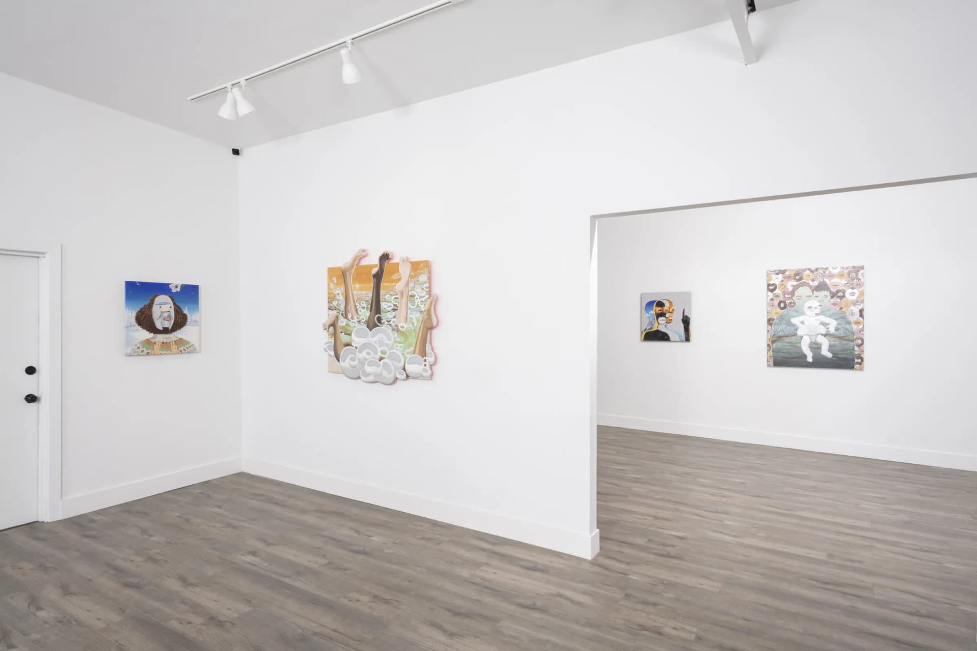 Installation View: Miguel Angel Payano Jr: Elusive NaturePhoto By Josh Schaedel