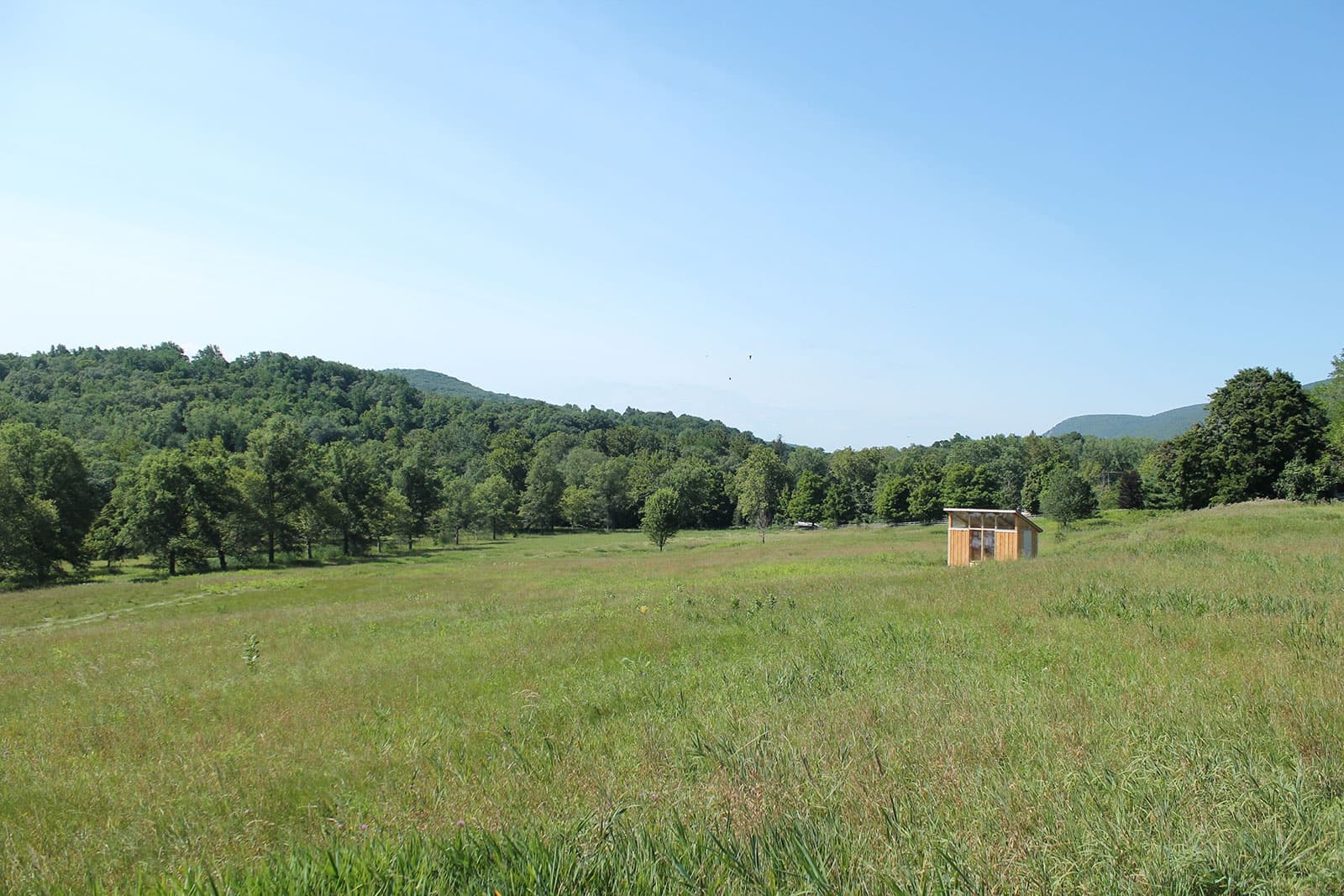 Catalina Ouyang will be participating in the Shandaken: storm king residency program