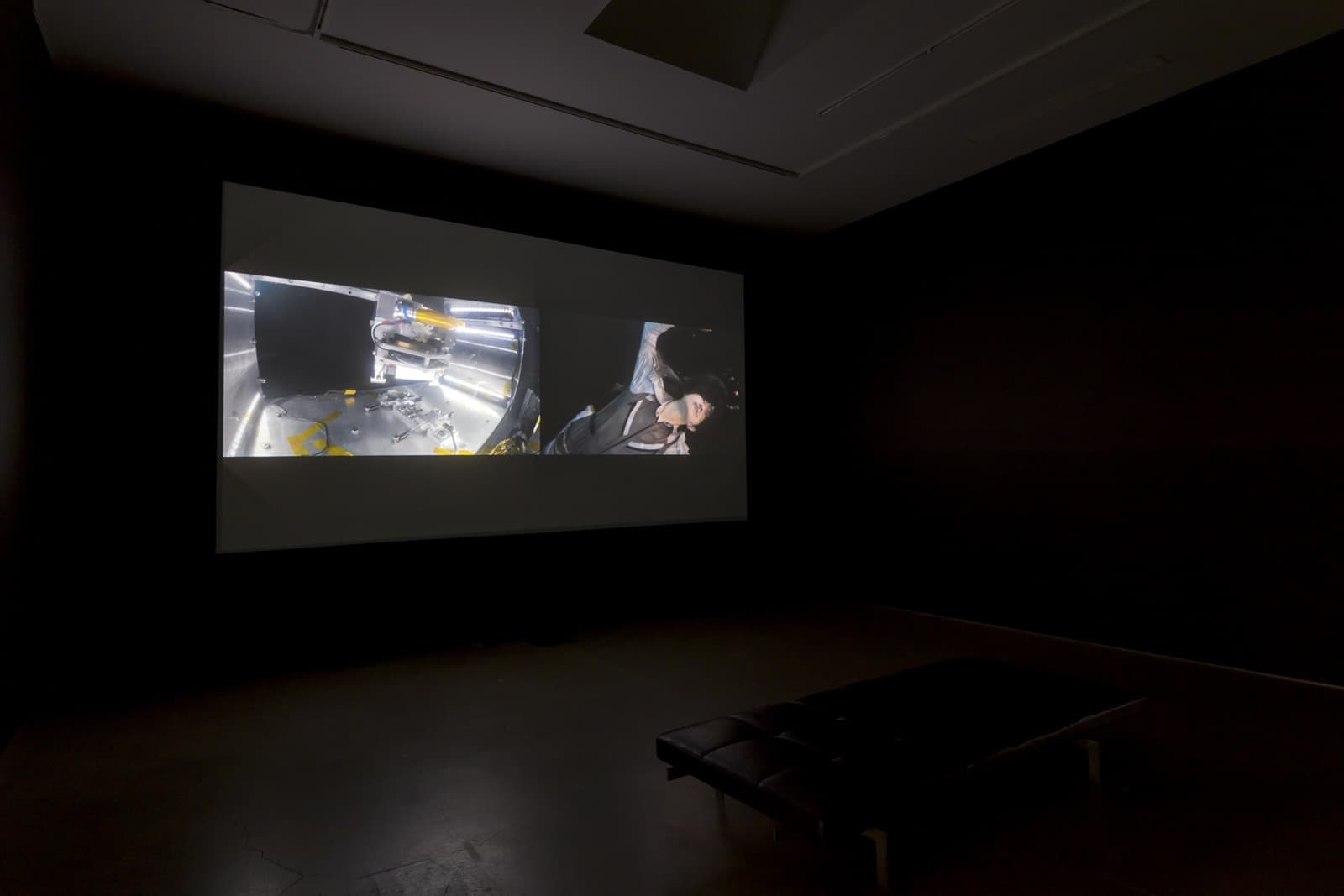 "Synthetic Wilderness", curated by Jesse Damiani, at Honor Fraser Gallery