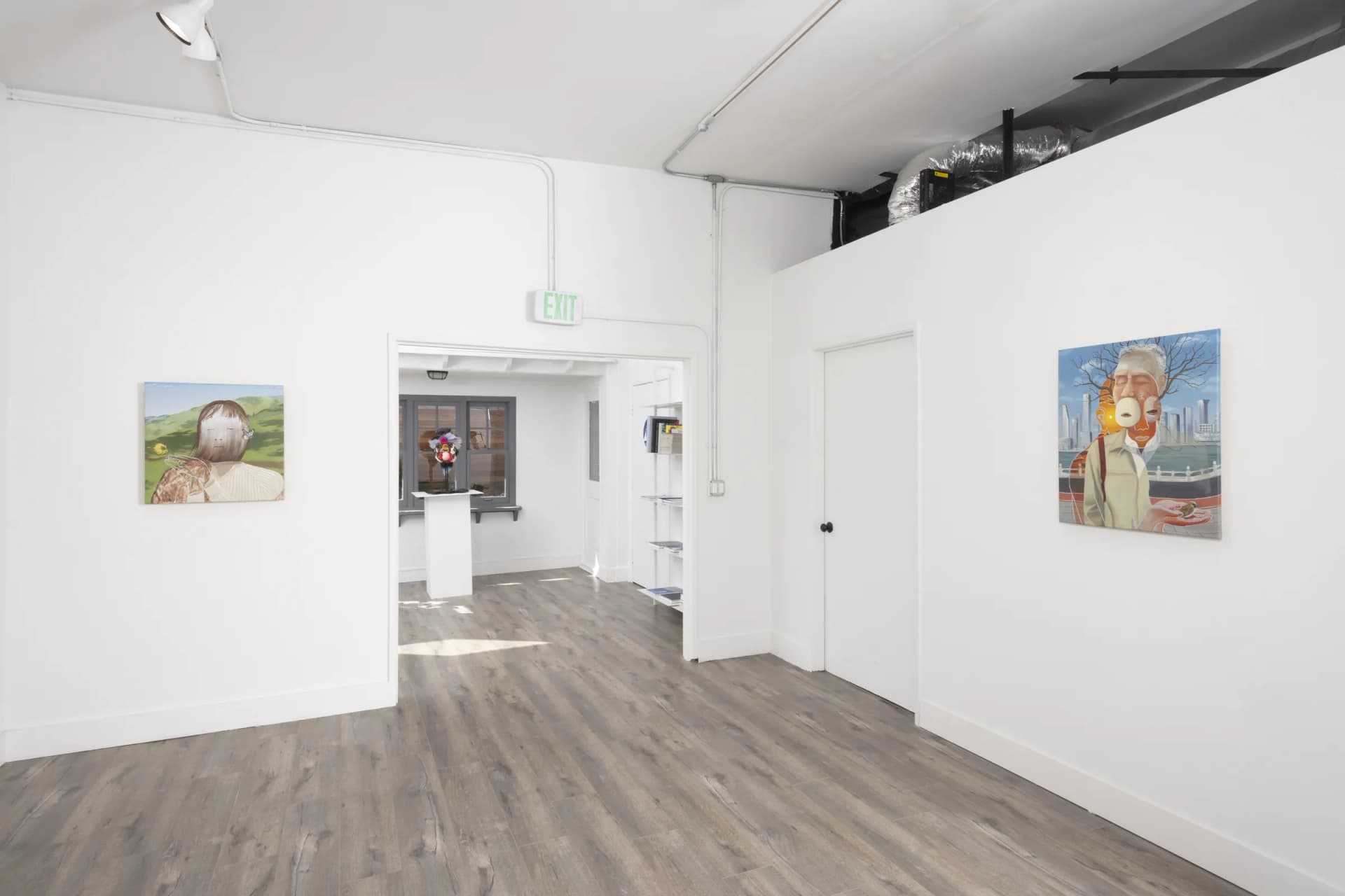 Installation View: Miguel Angel Payano Jr: Elusive NaturePhoto By Josh Schaedel
