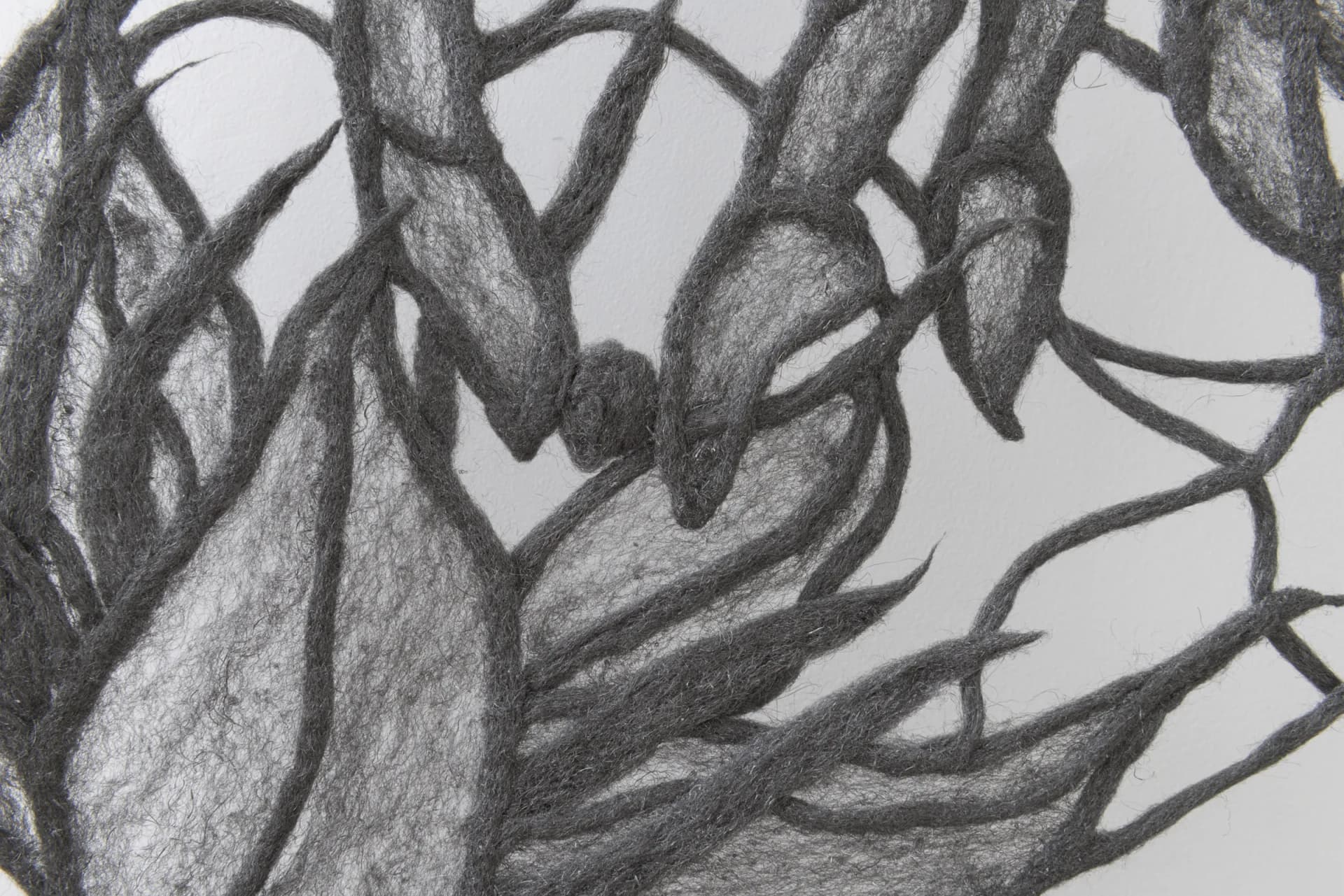 We Felt Such Strength That We Wanted to Be Gentle — view 9