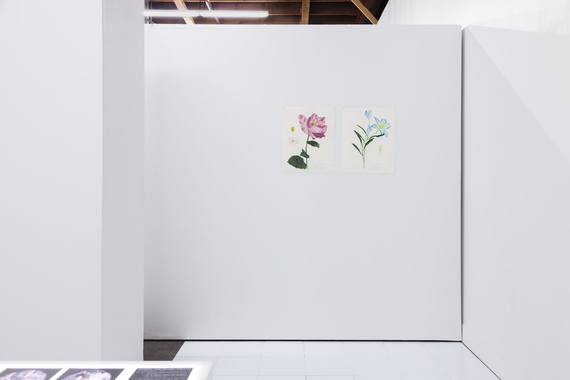 Installation View, Dreaming of Dying Robots and Artificial Flowers.