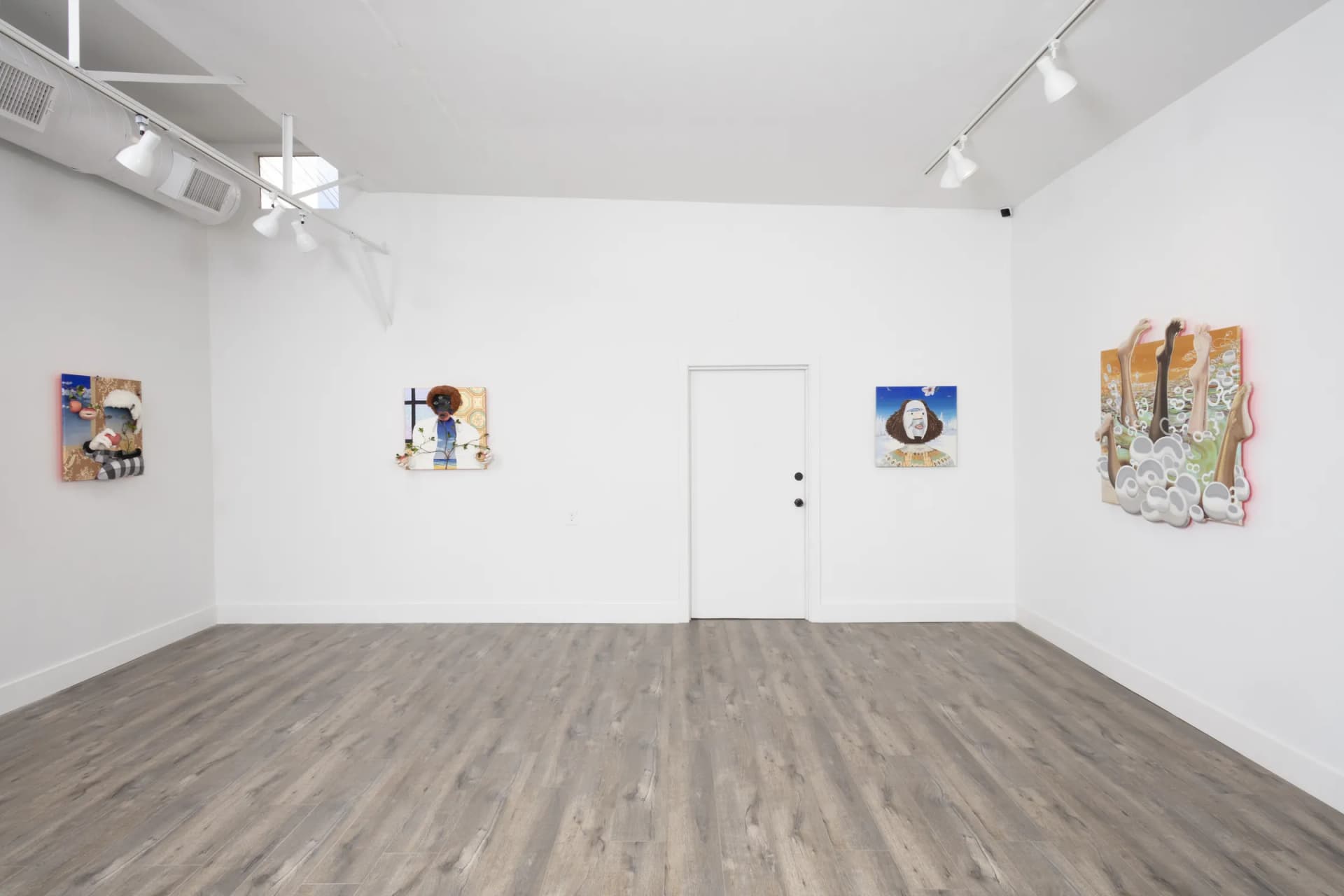 Installation View: Miguel Angel Payano Jr: Elusive NaturePhoto By Josh Schaedel