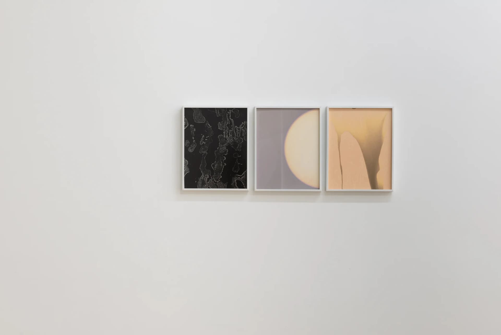 Installation View, Badwater.