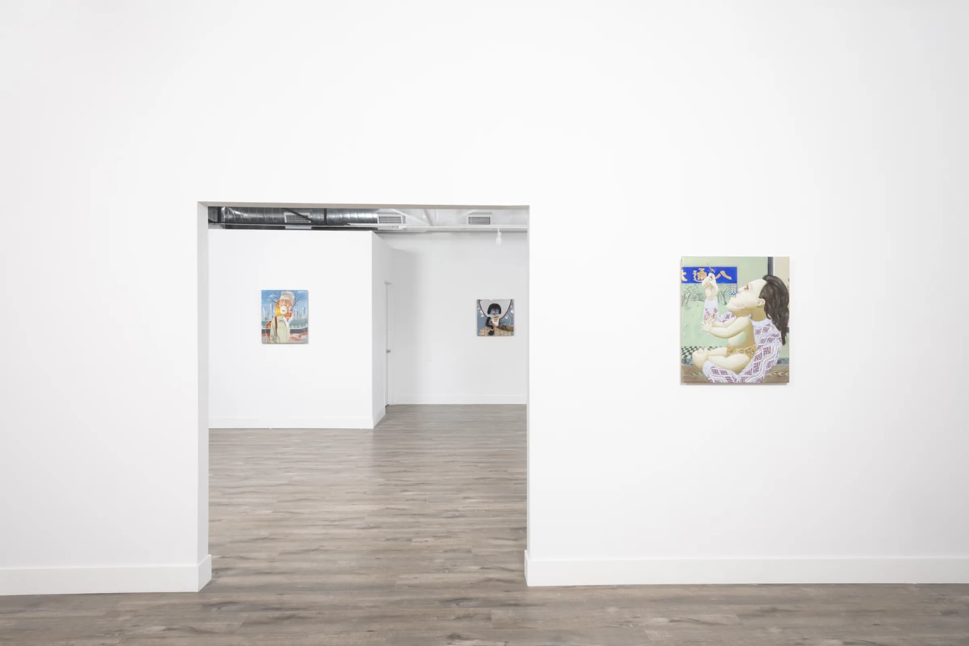 Installation View: Miguel Angel Payano Jr: Elusive NaturePhoto By Josh Schaedel