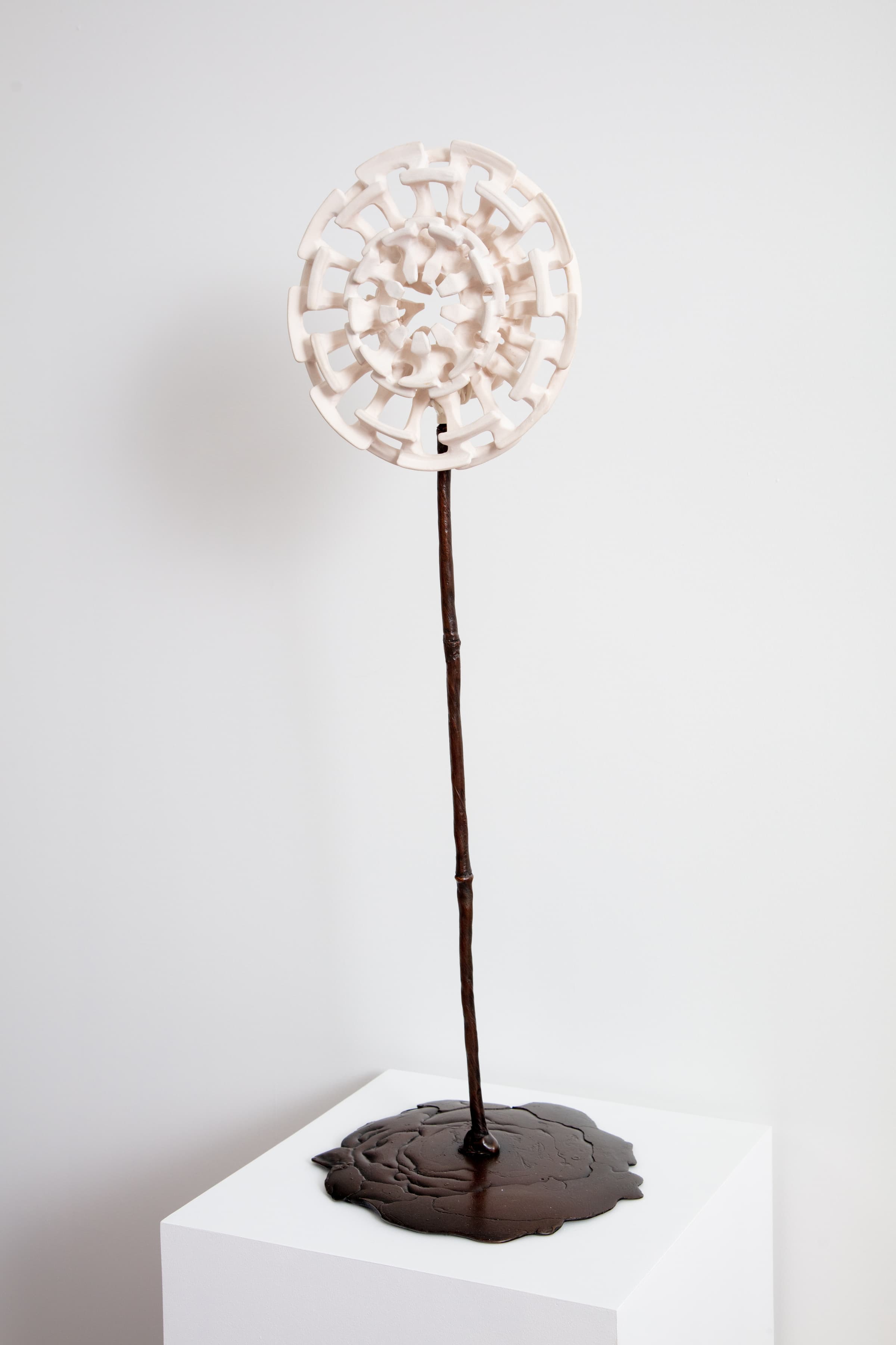 Yassi Mazandi, Flower 2