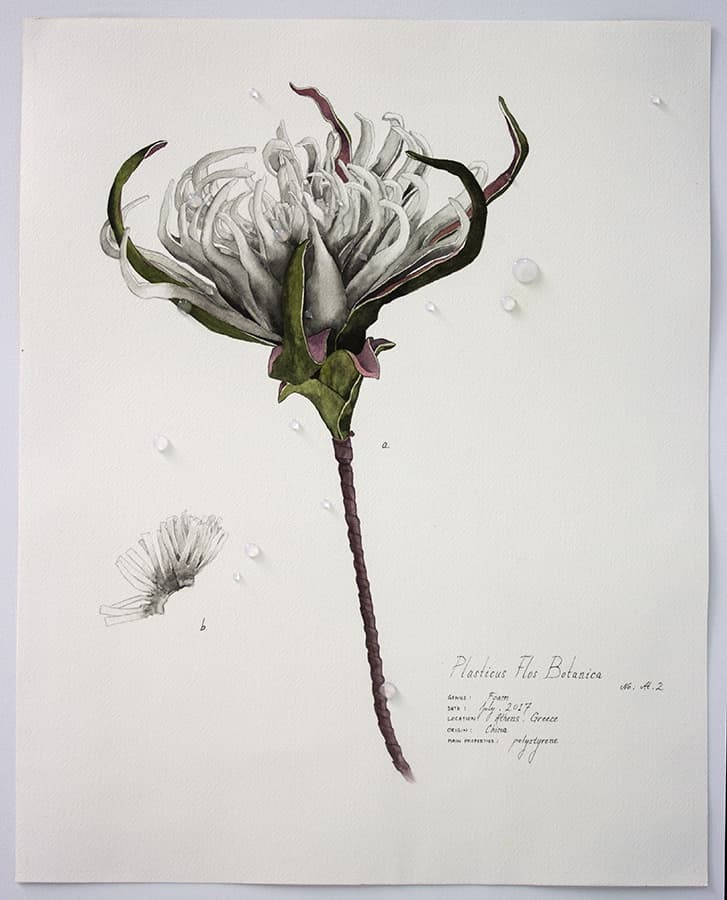 Magdalen Wong, Magdalen Wong, Plasticus Flos Botanica