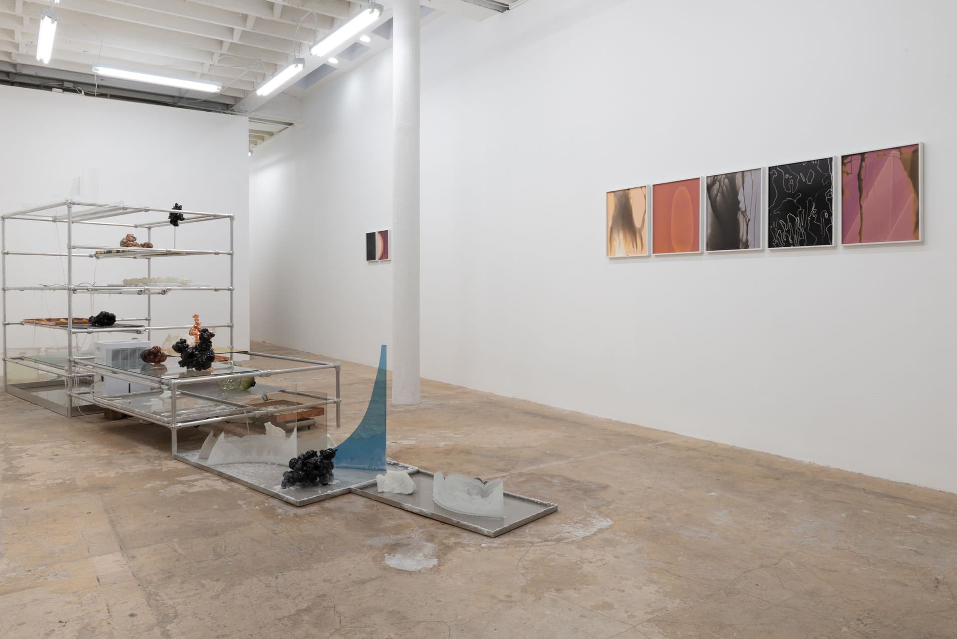 Installation View, Badwater.