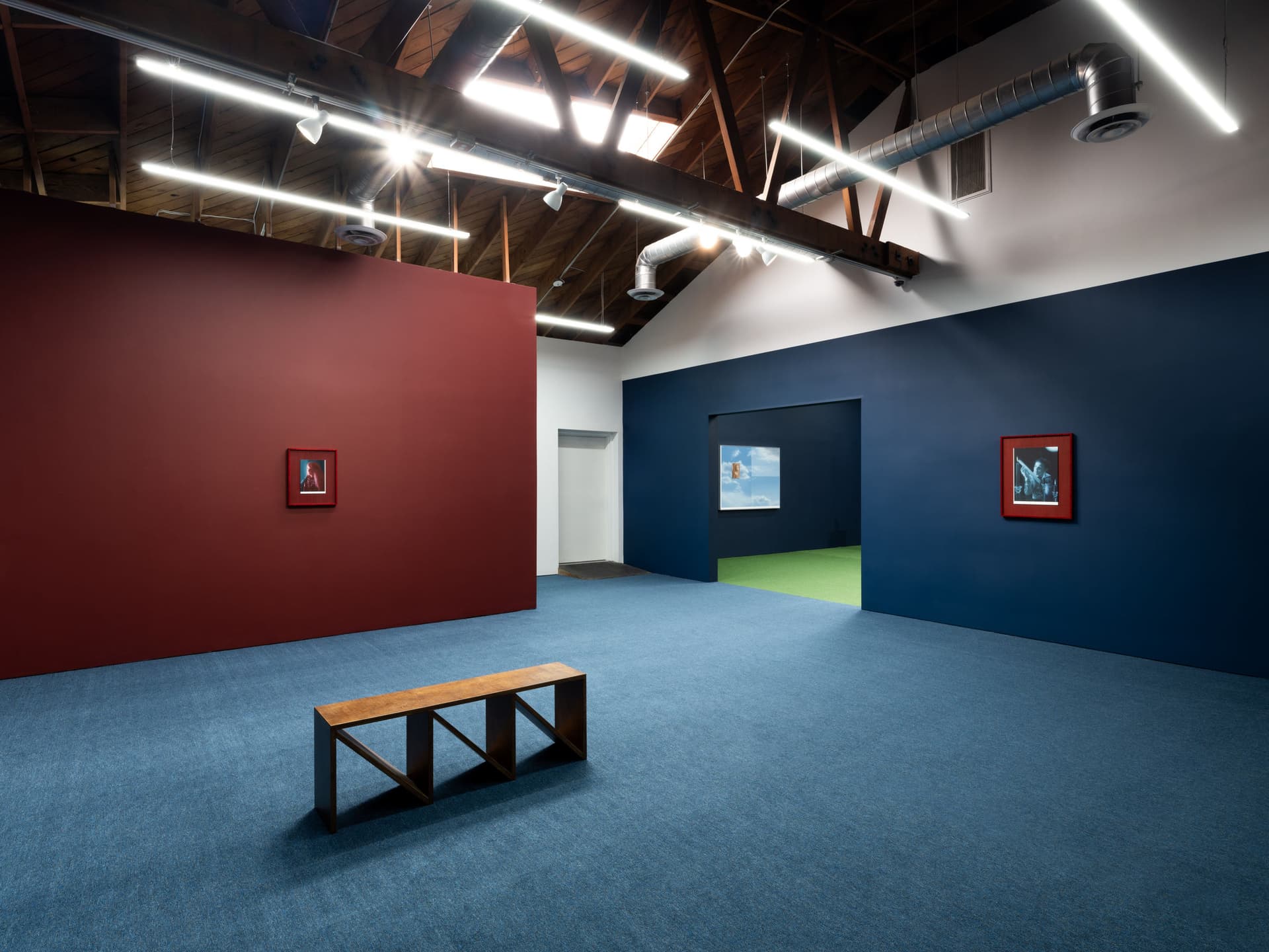 Salome & Solvej, Apollo & Farne — view 4