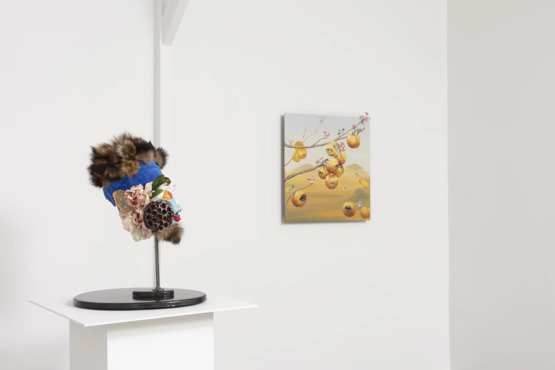 Installation View: Miguel Angel Payano Jr: Elusive NaturePhoto By Josh Schaedel