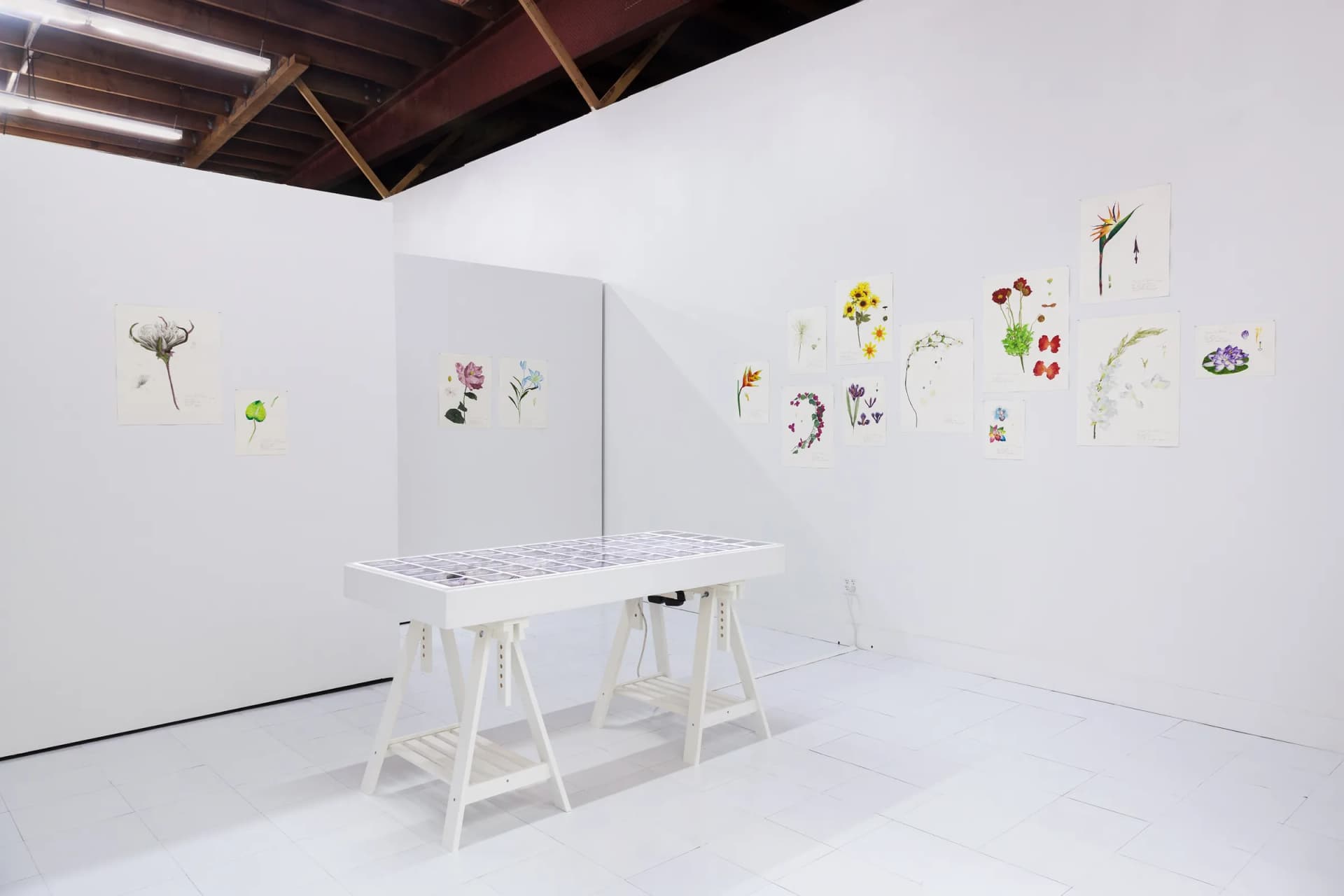 Installation View, Dreaming of Dying Robots and Artificial Flowers.