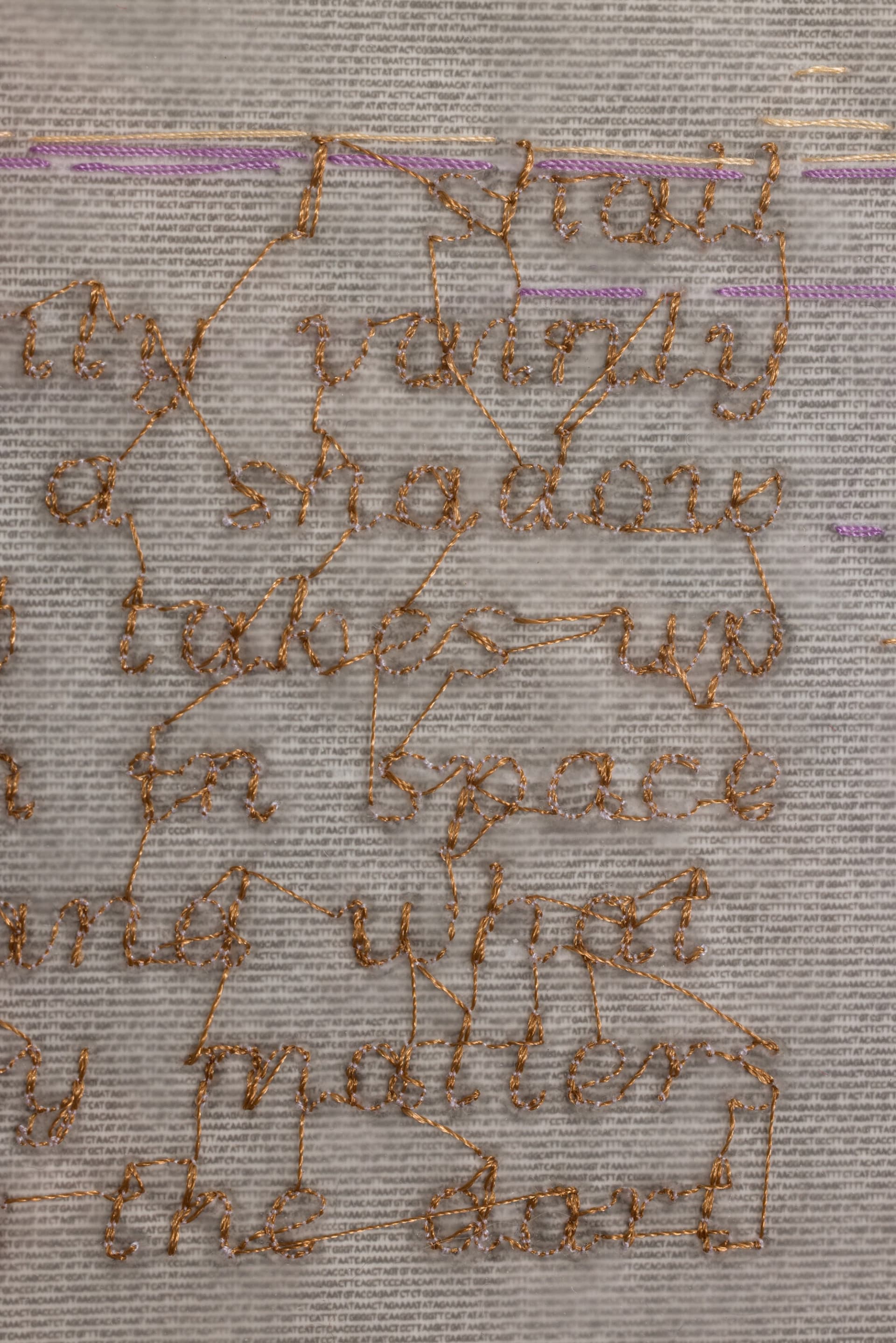 Frieze LA 2025: The Theater of Metamorphoses — view 10