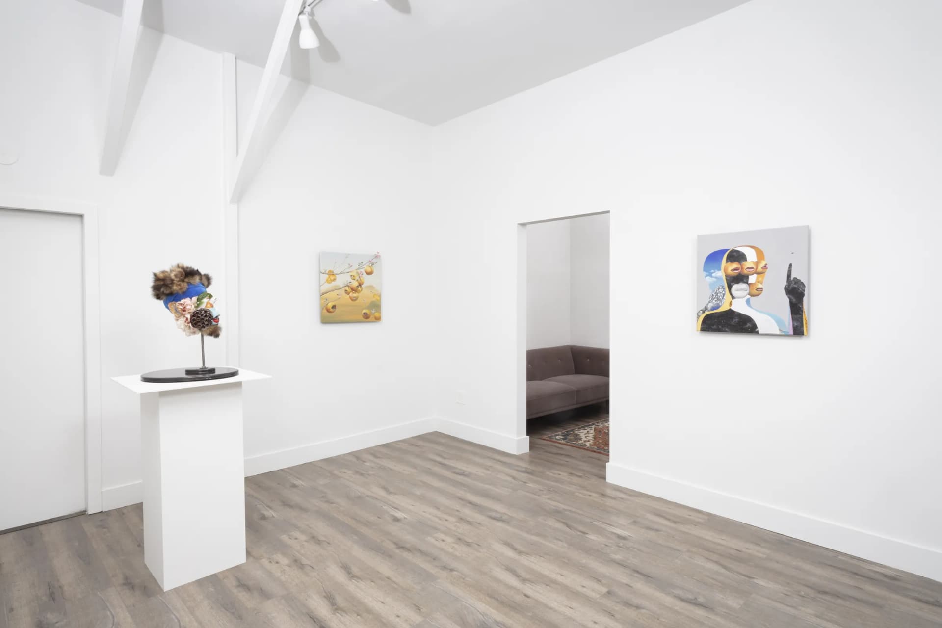 Installation View: Miguel Angel Payano Jr: Elusive NaturePhoto By Josh Schaedel