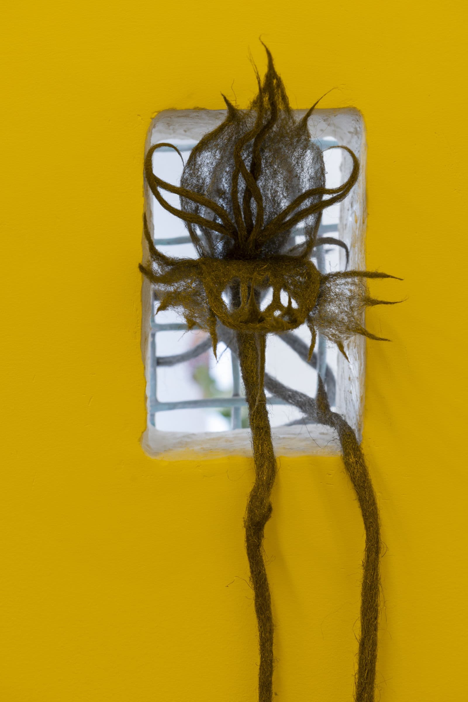 Blossoming Carcass — view 10