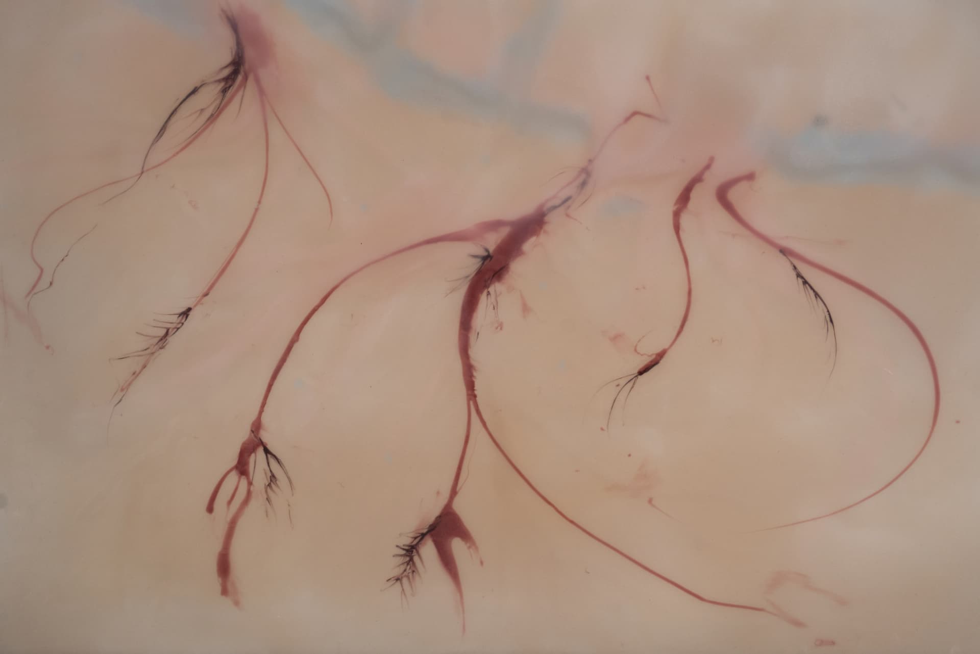 Frieze LA 2025: The Theater of Metamorphoses — view 3