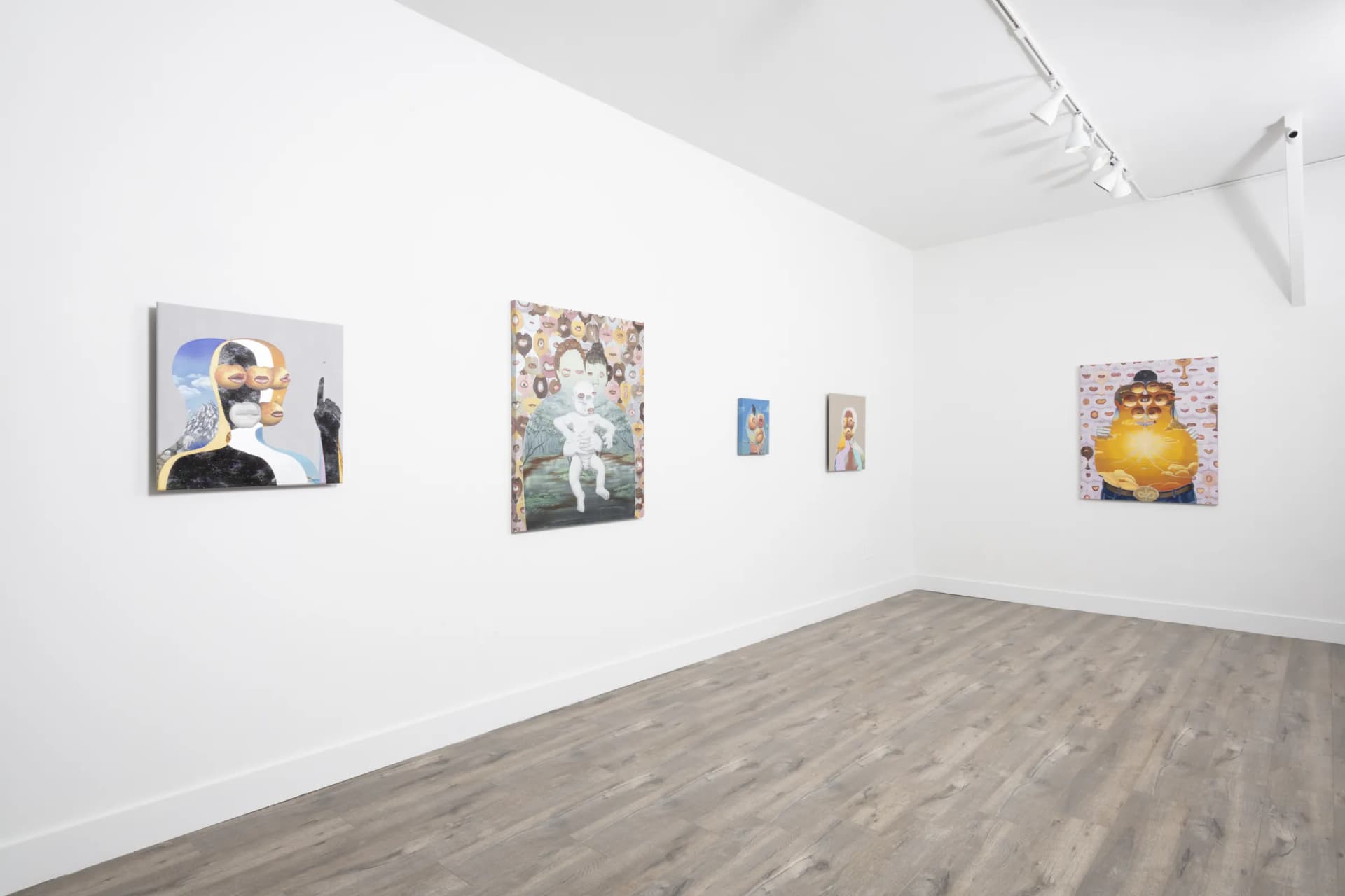 Installation View: Miguel Angel Payano Jr: Elusive NaturePhoto By Josh Schaedel