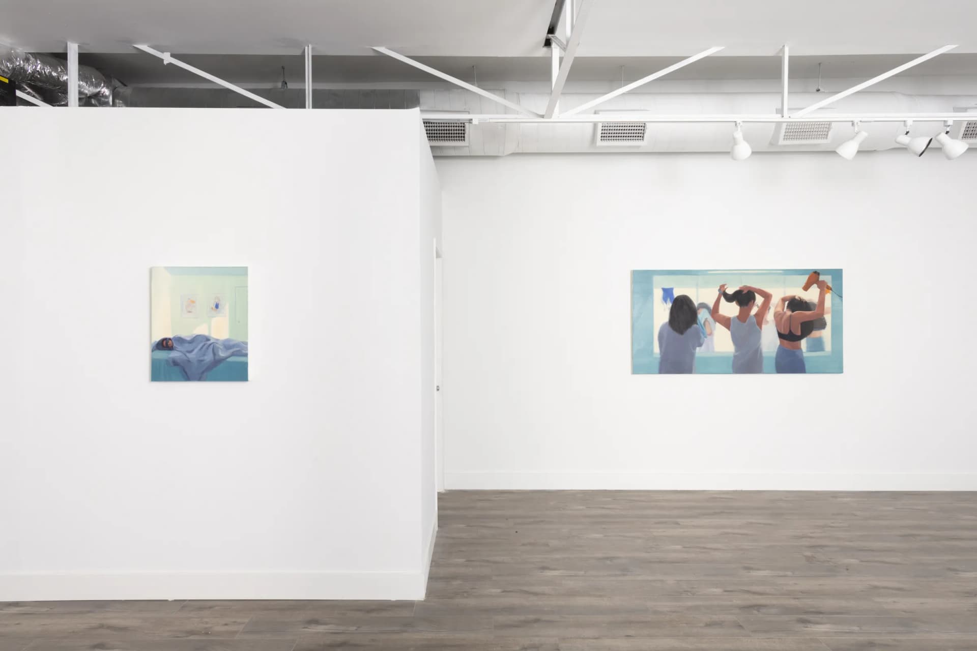 Installation View: Yuri Yuan: "The Great Swimmer"Photo By Josh Schaedel