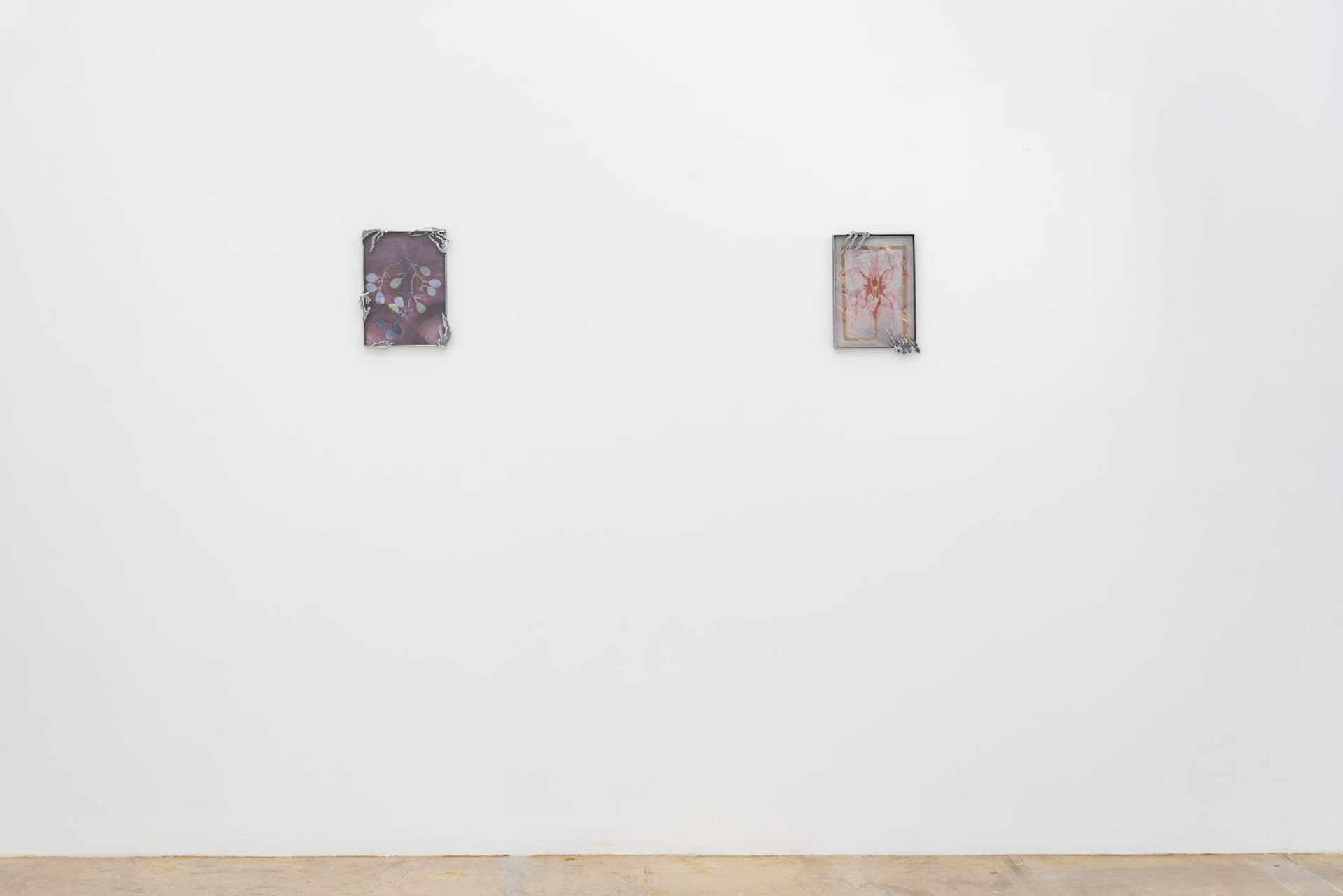 Installation view, Blossoming Carcass. Photo:Yubo Dong