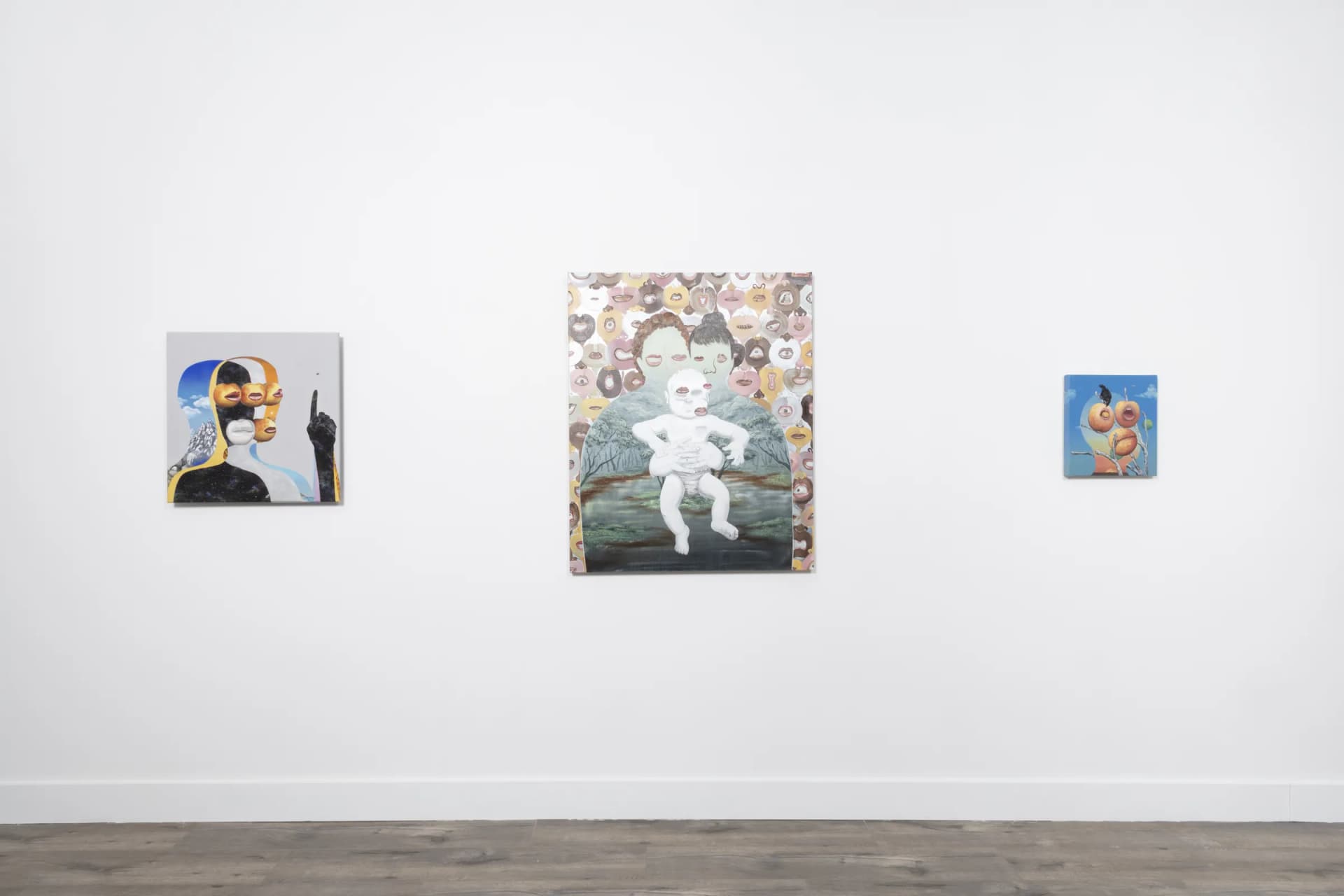 Installation View: Miguel Angel Payano Jr: Elusive NaturePhoto By Josh Schaedel