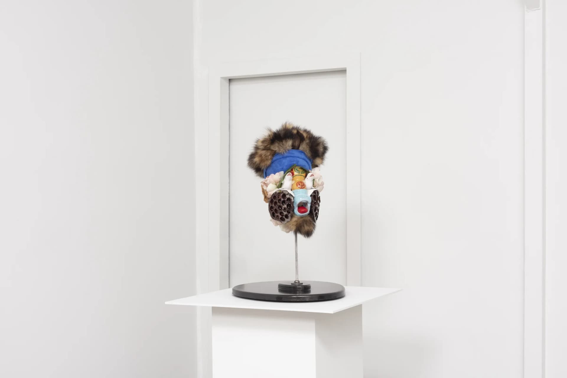 Installation View: Miguel Angel Payano Jr: Elusive Nature Photo By Josh Schaedel