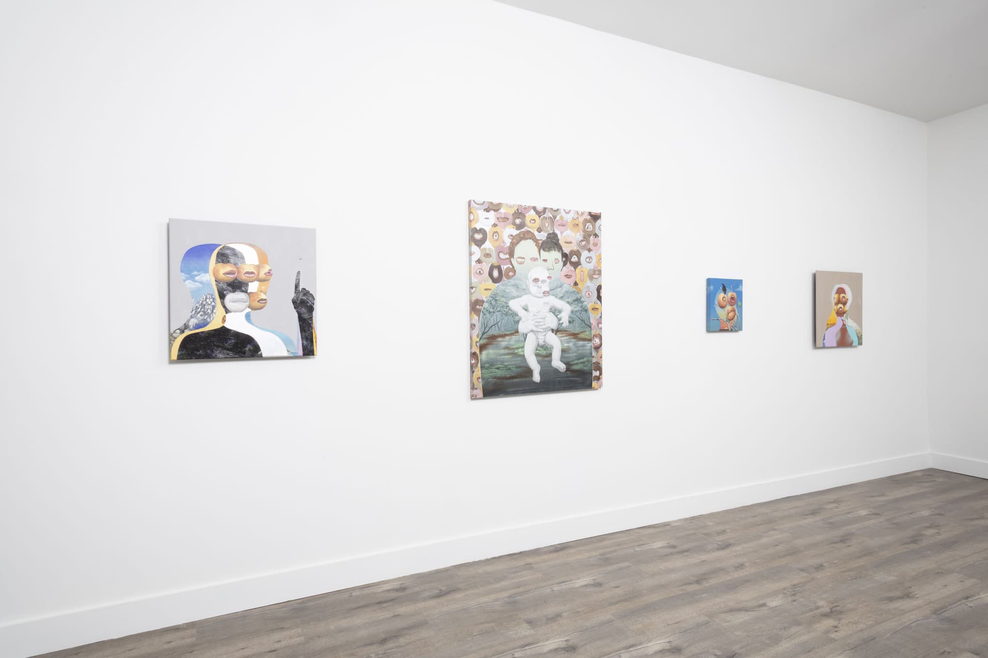 Installation View: Miguel Angel Payano Jr: Elusive NaturePhoto By Josh Schaedel