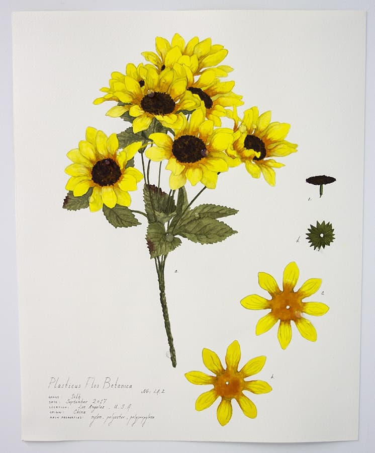 Magdalen Wong, Magdalen Wong, Plasticus Flos Botanica